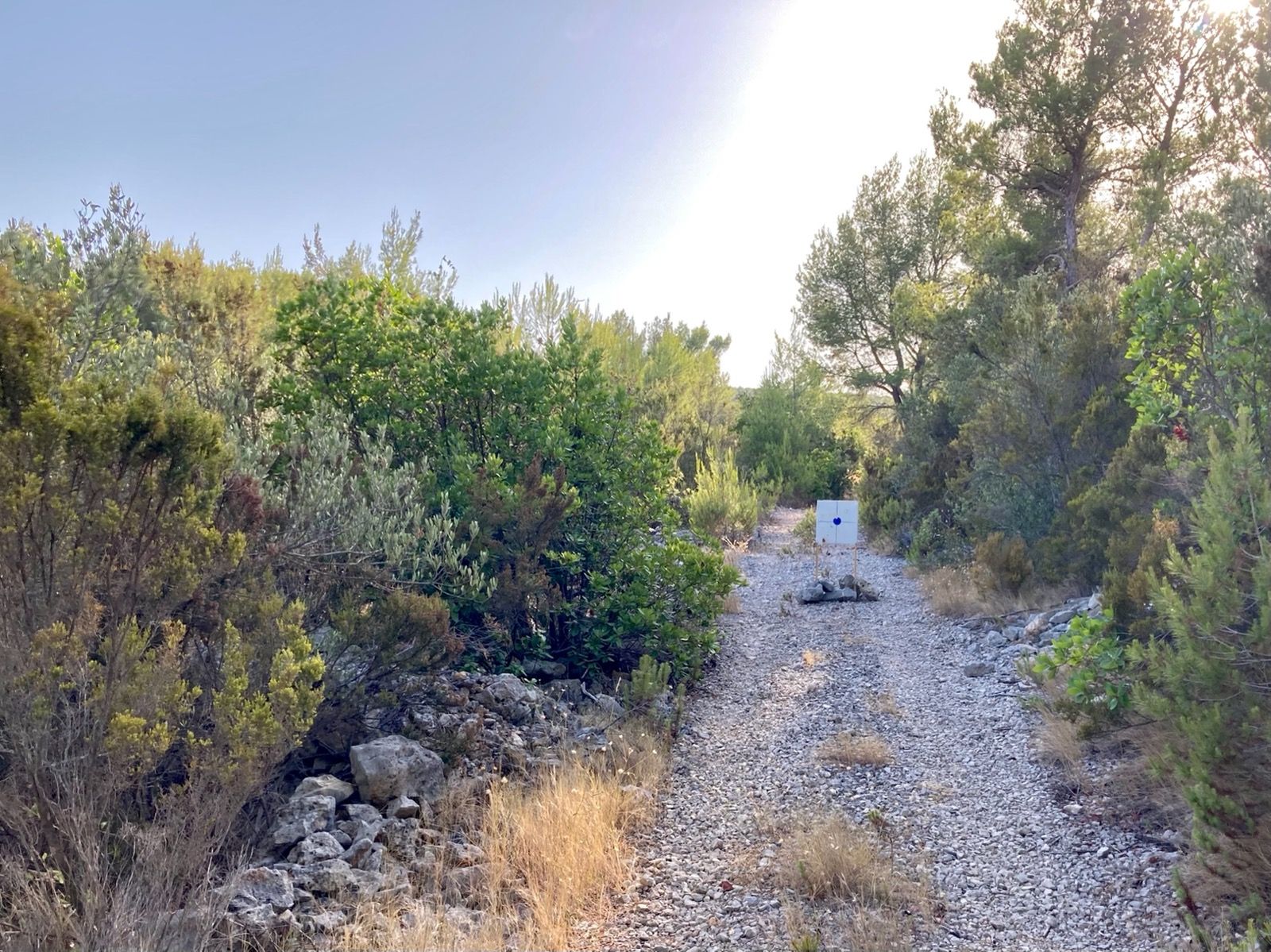 Activity Image 3