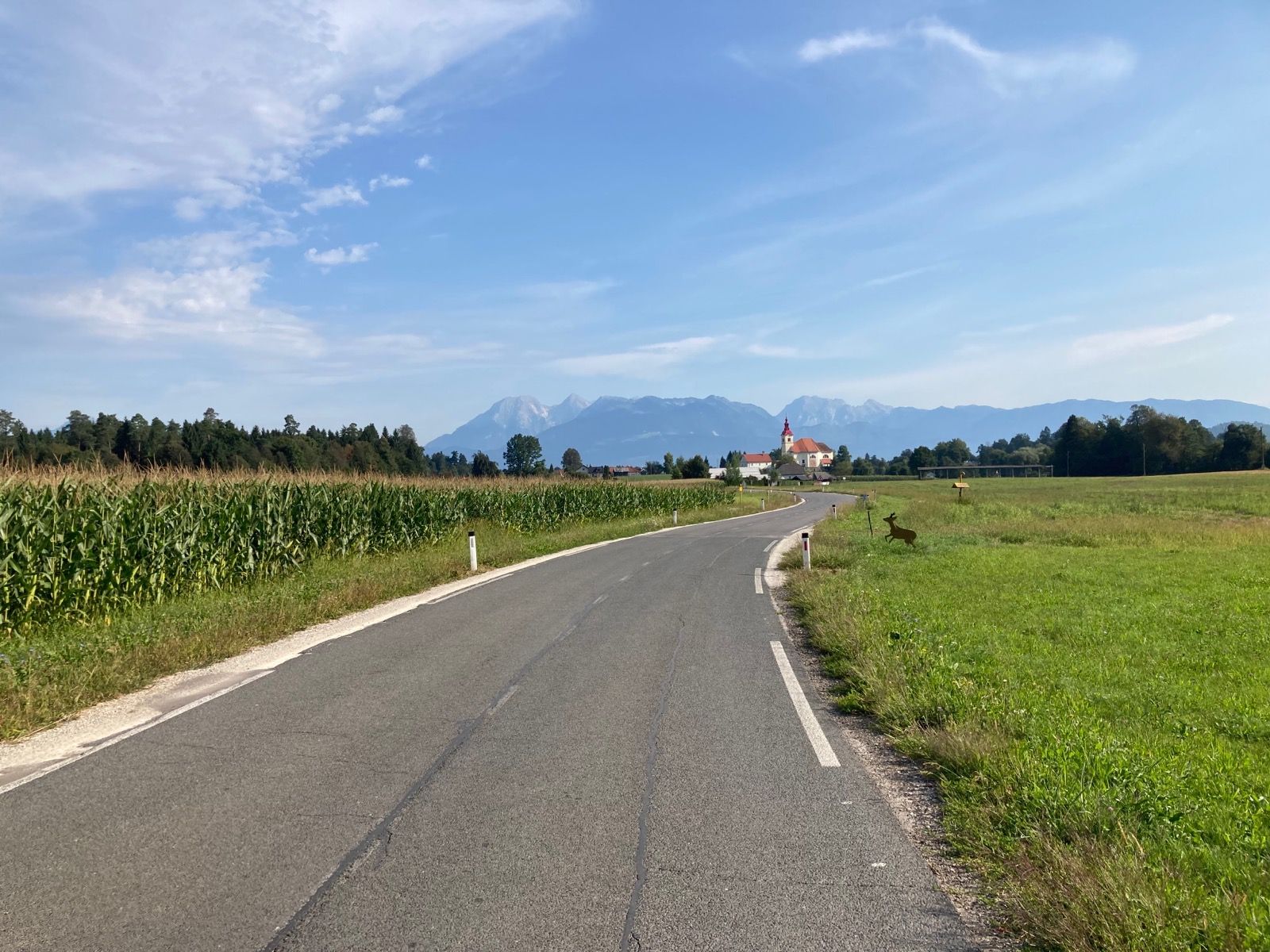 Activity Image 10