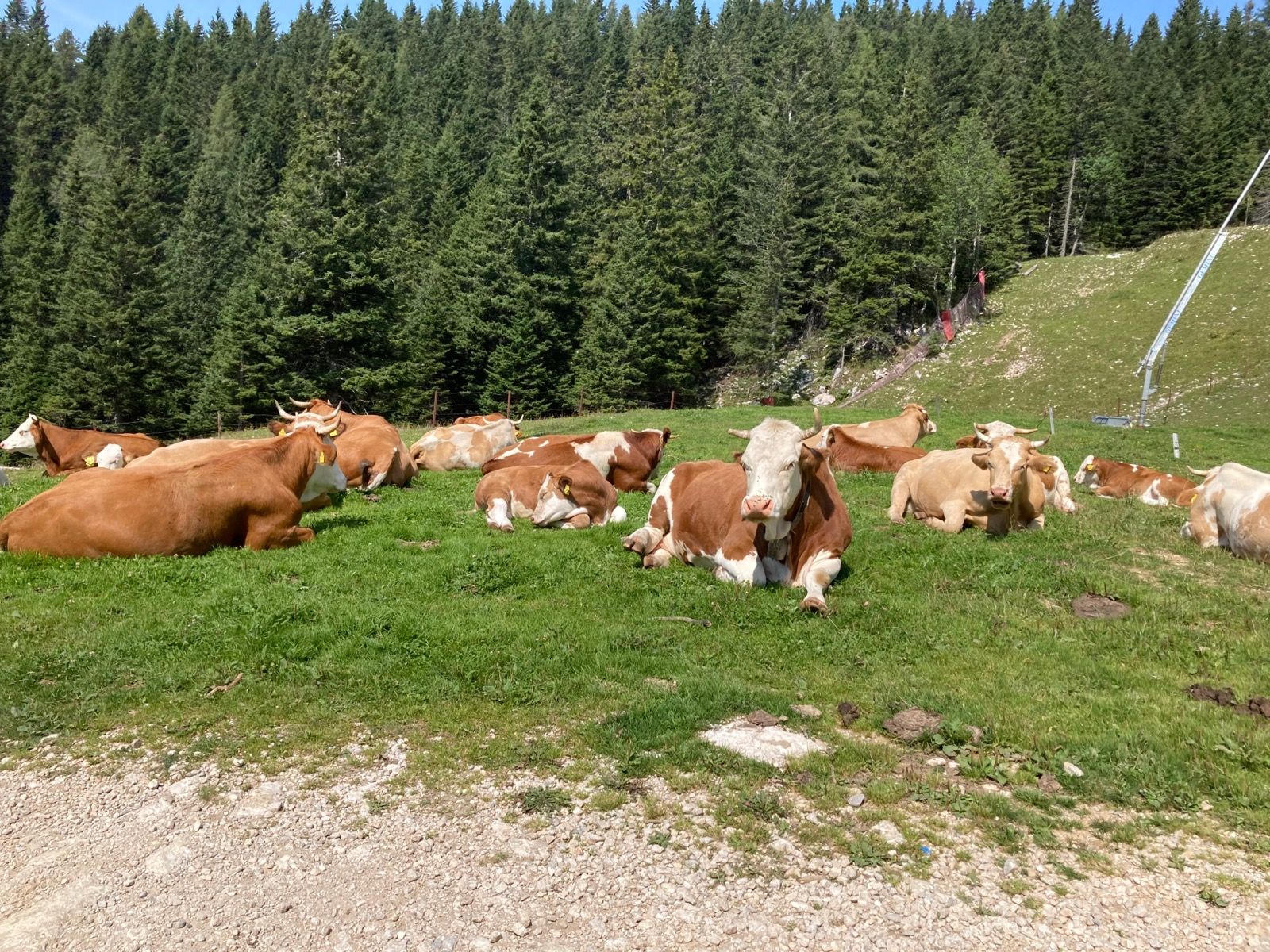 Activity Image 7