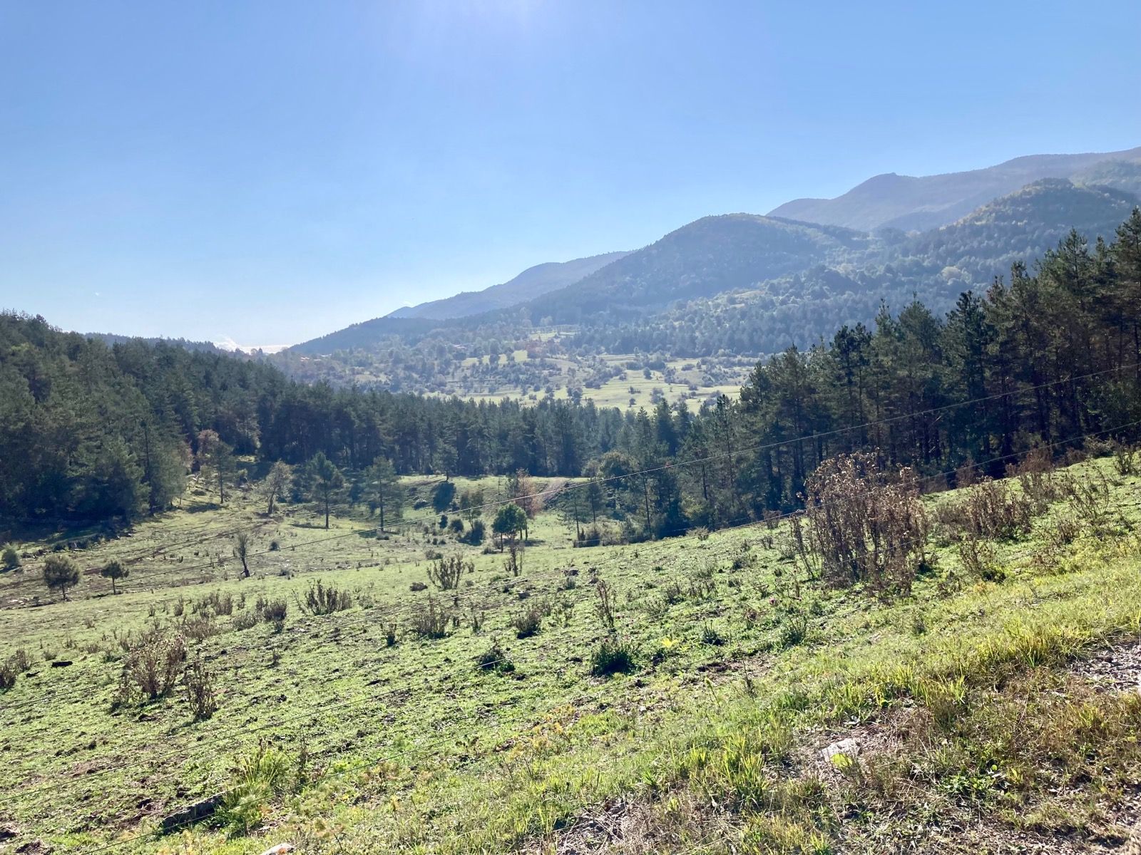 Activity Image 1