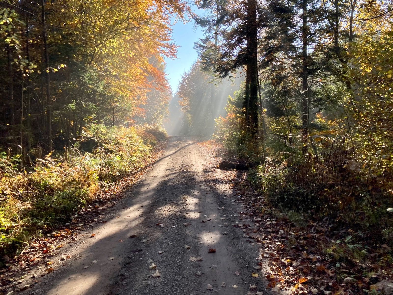 Activity Image 1