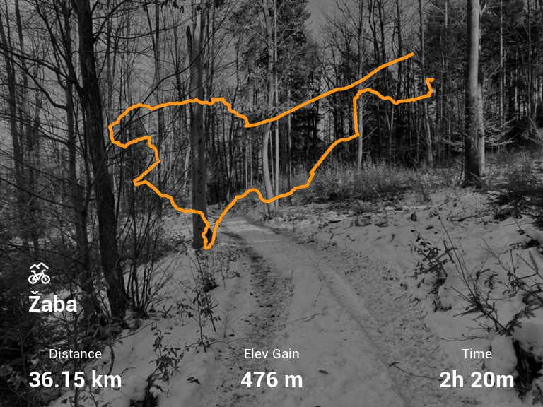 Activity Image