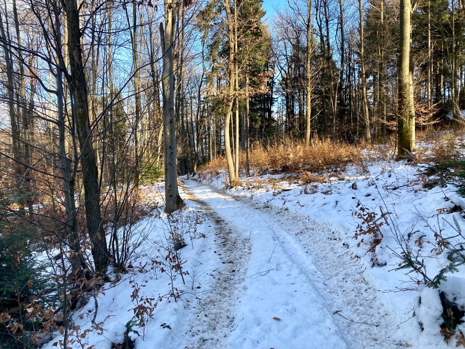 Activity Image 1