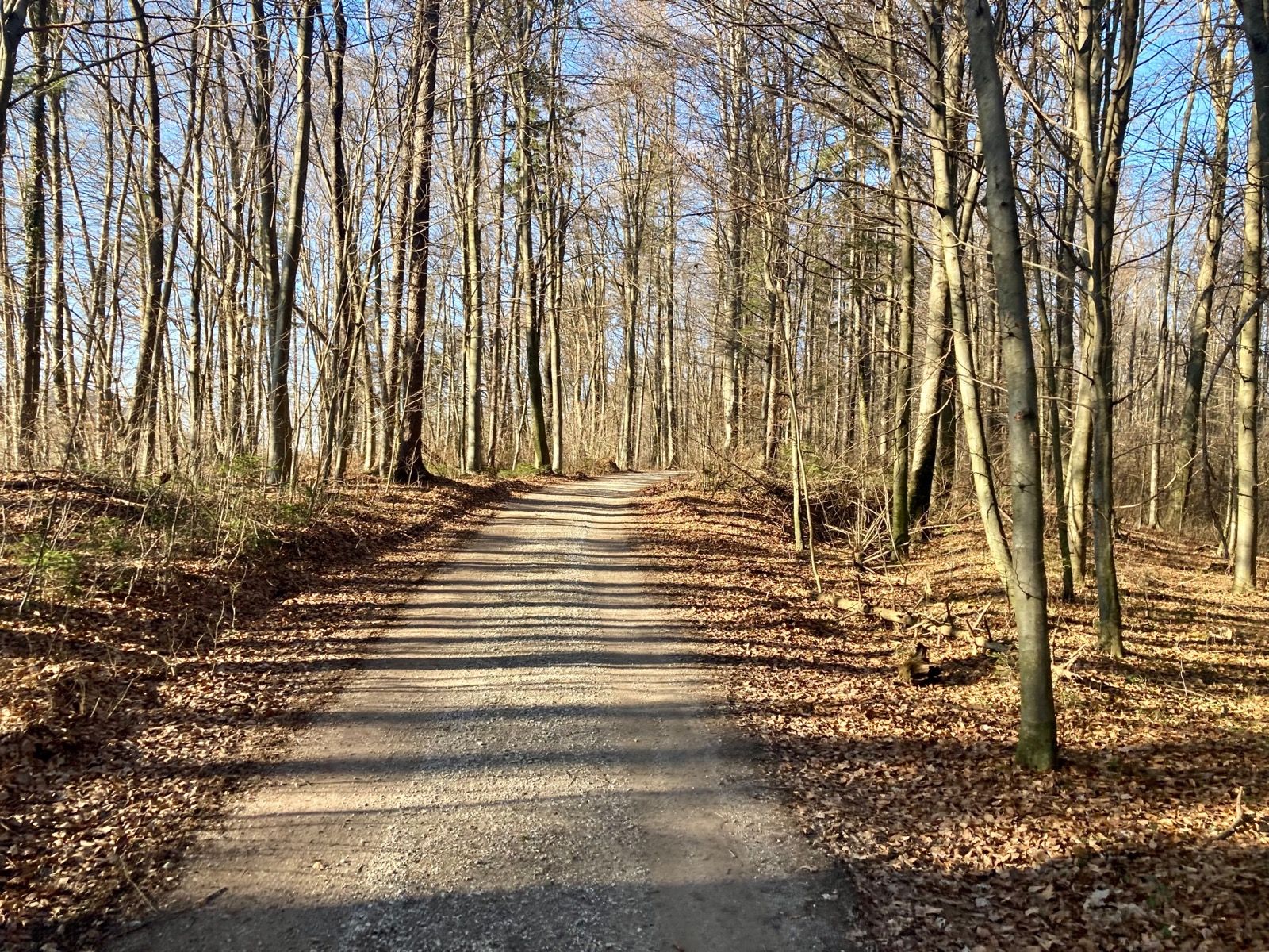 Activity Image 1