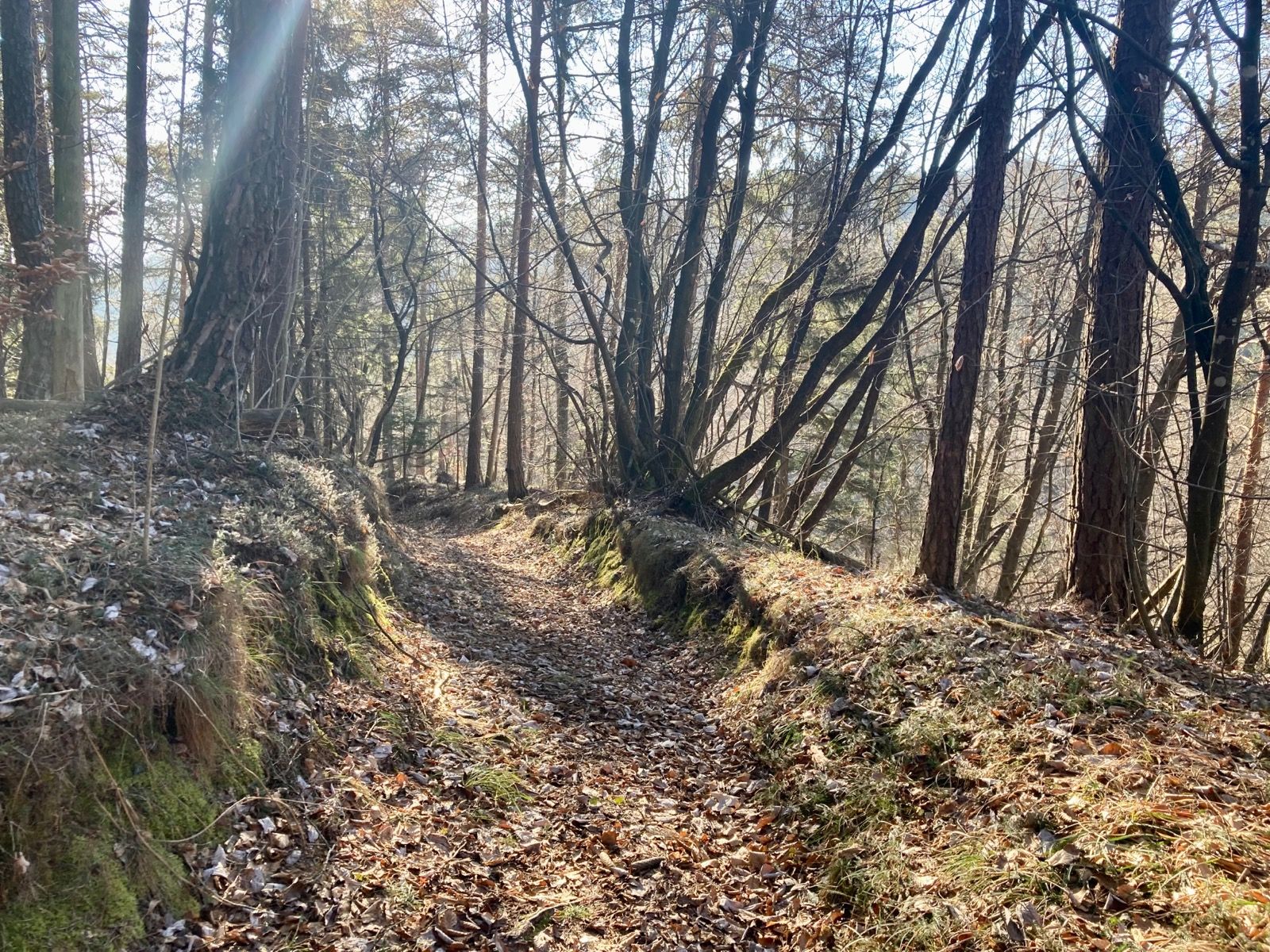 Activity Image 4