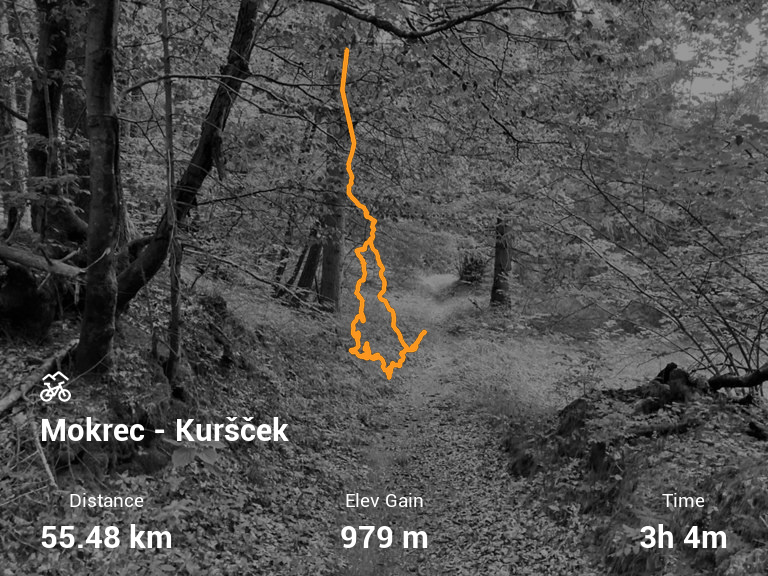 Activity Image