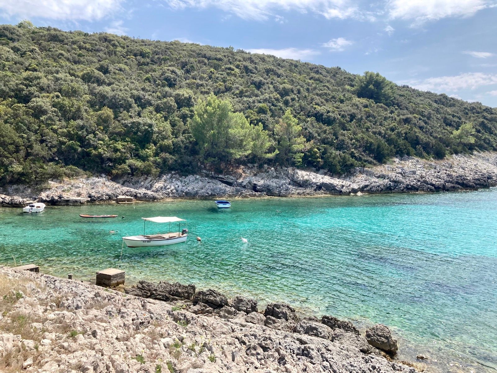 Activity Image 1