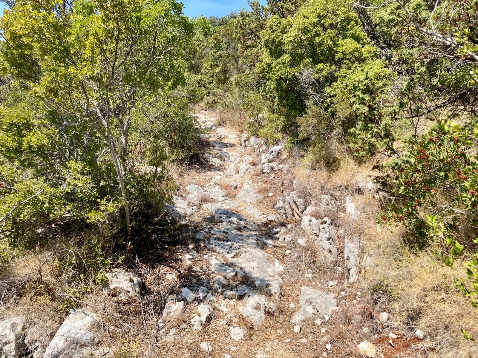 Activity Image 4