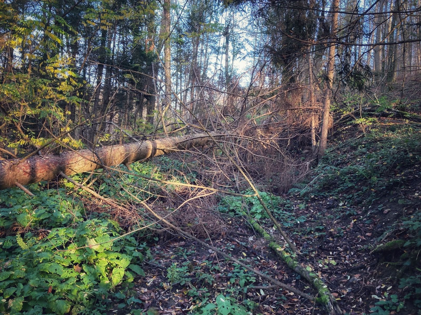 Activity Image 2