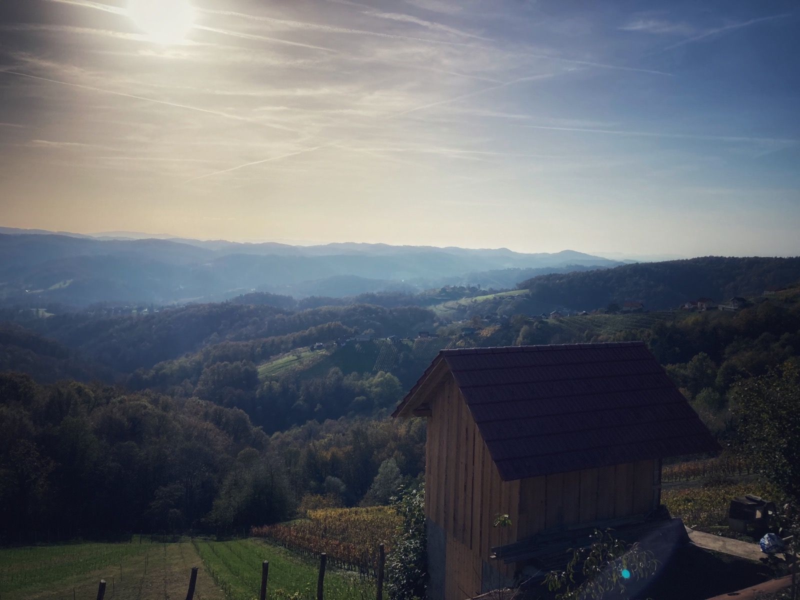 Activity Image 5