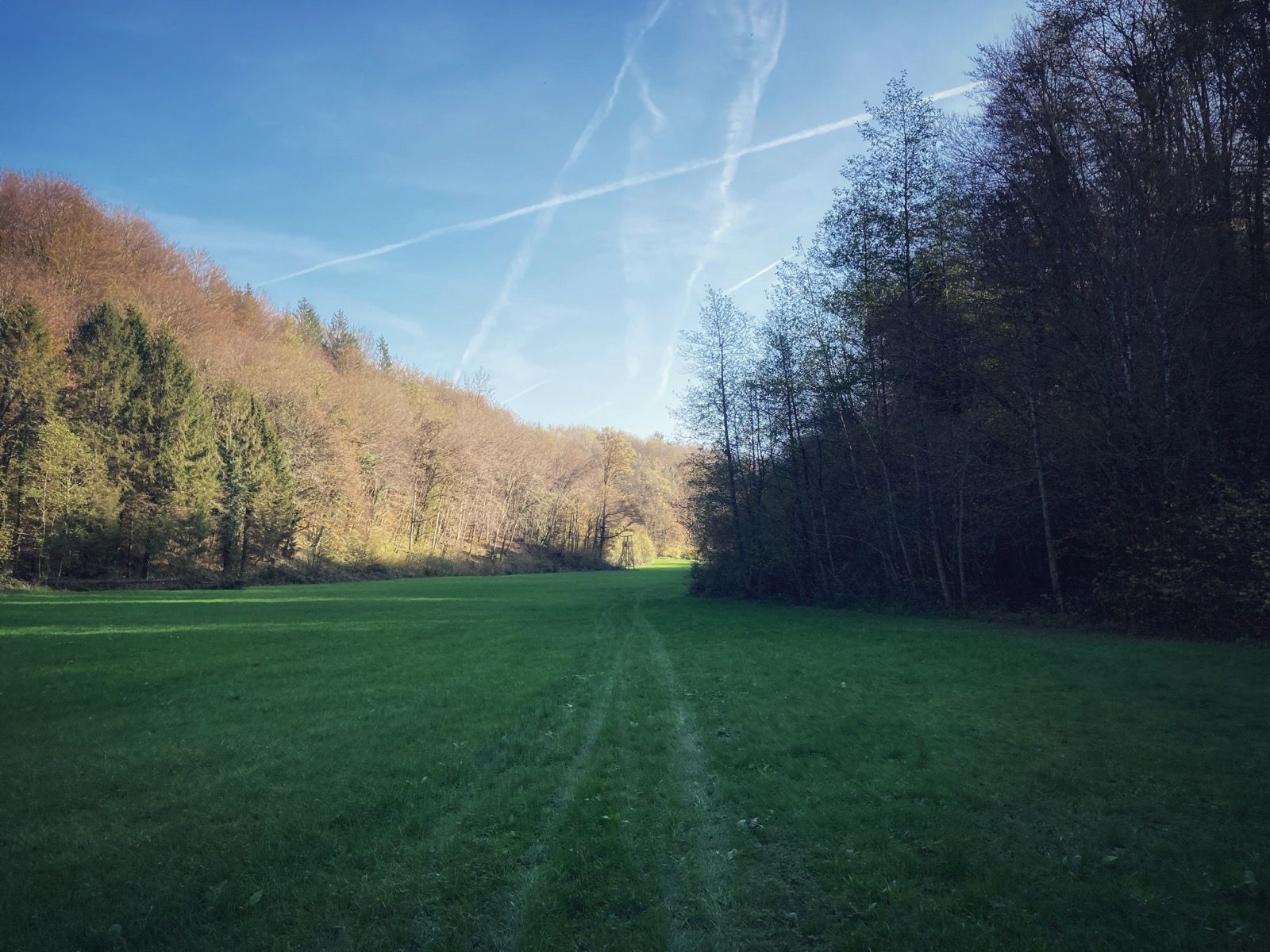 Activity Image 6