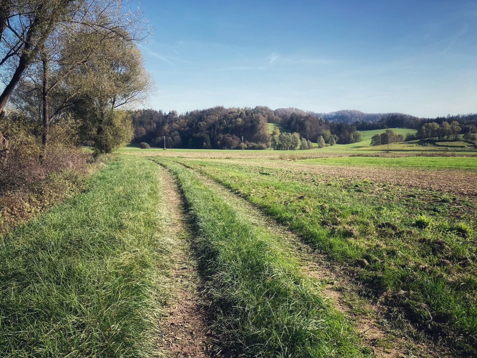 Activity Image 8