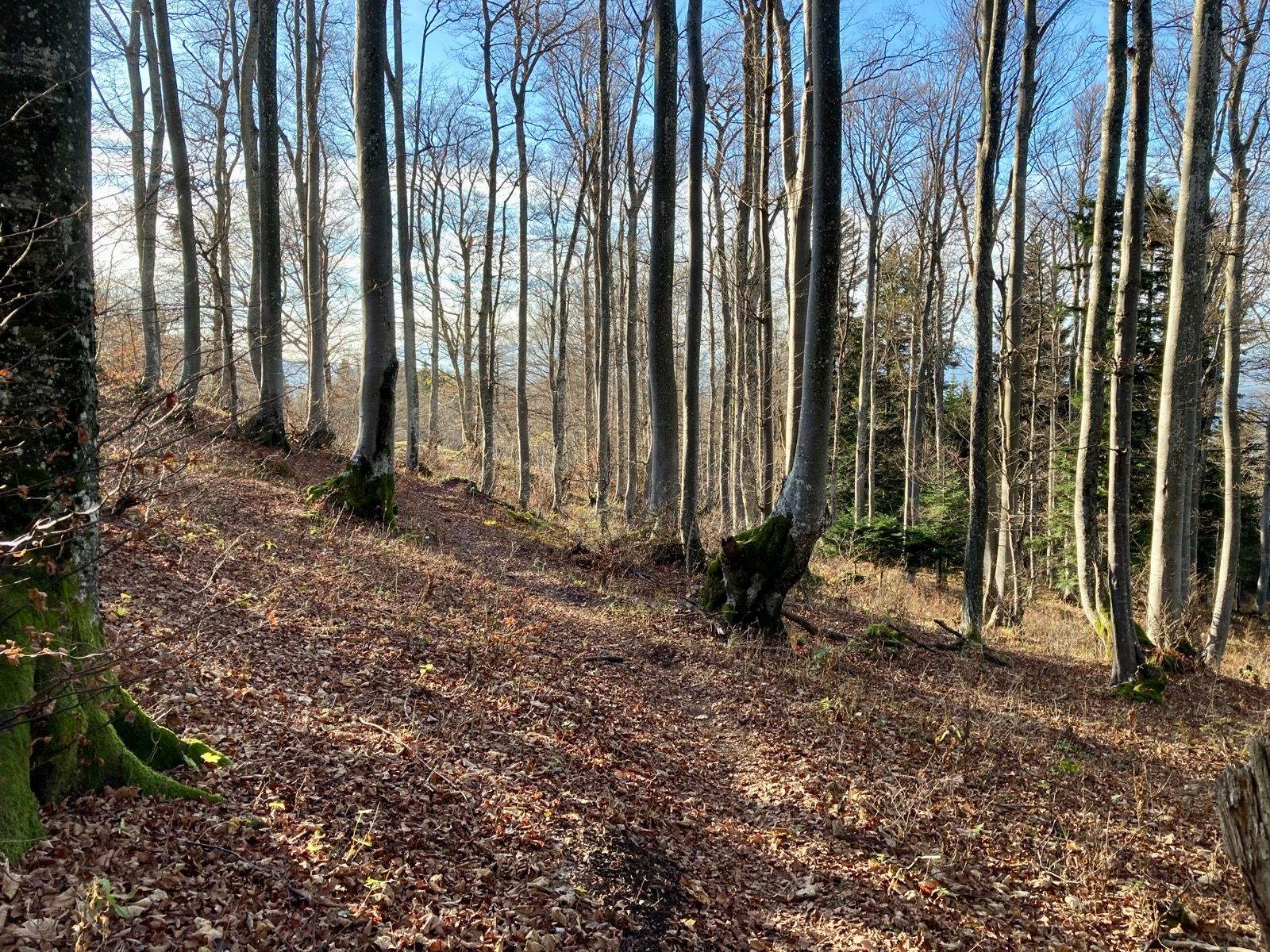 Activity Image 10