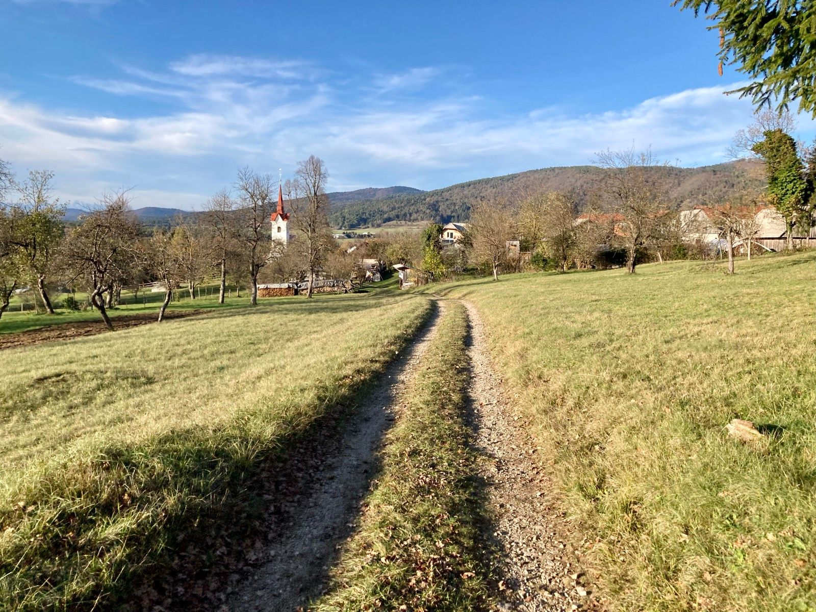 Activity Image 9