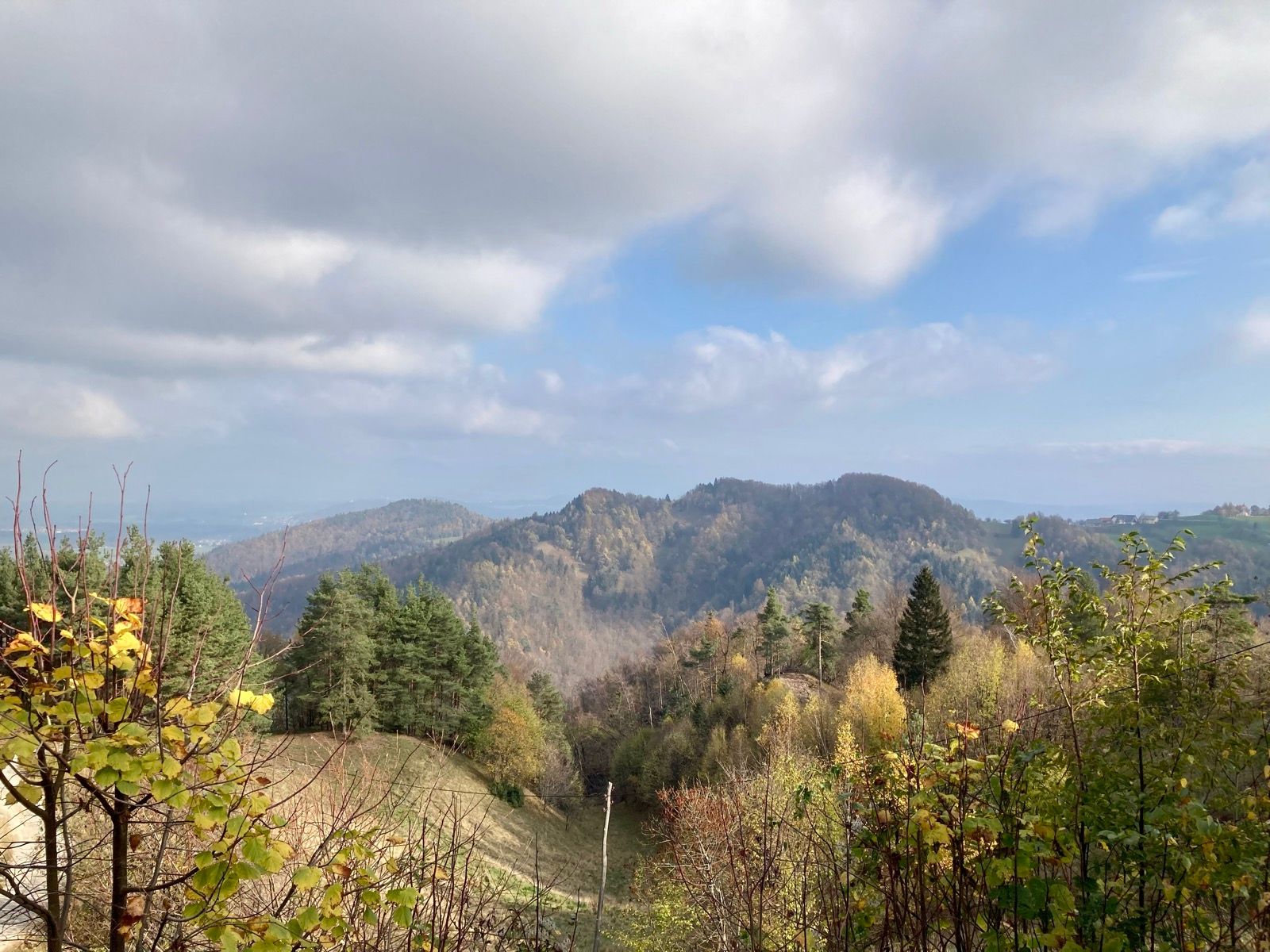 Activity Image 3