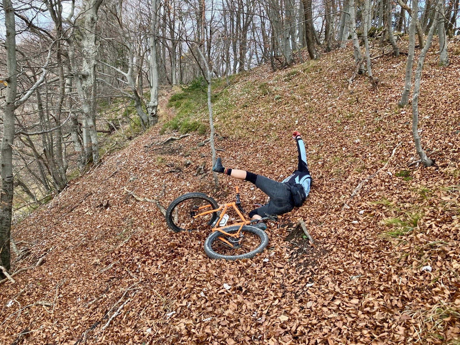 Activity Image 4