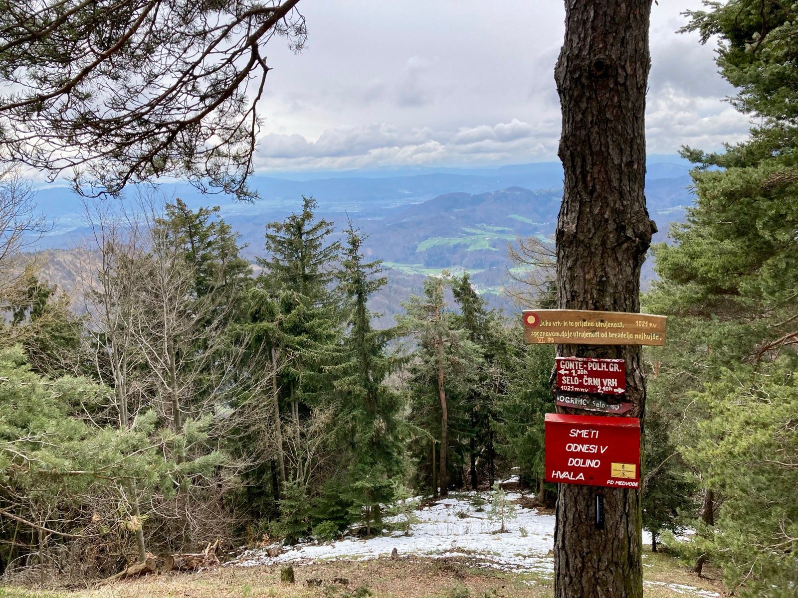 Activity Image 1