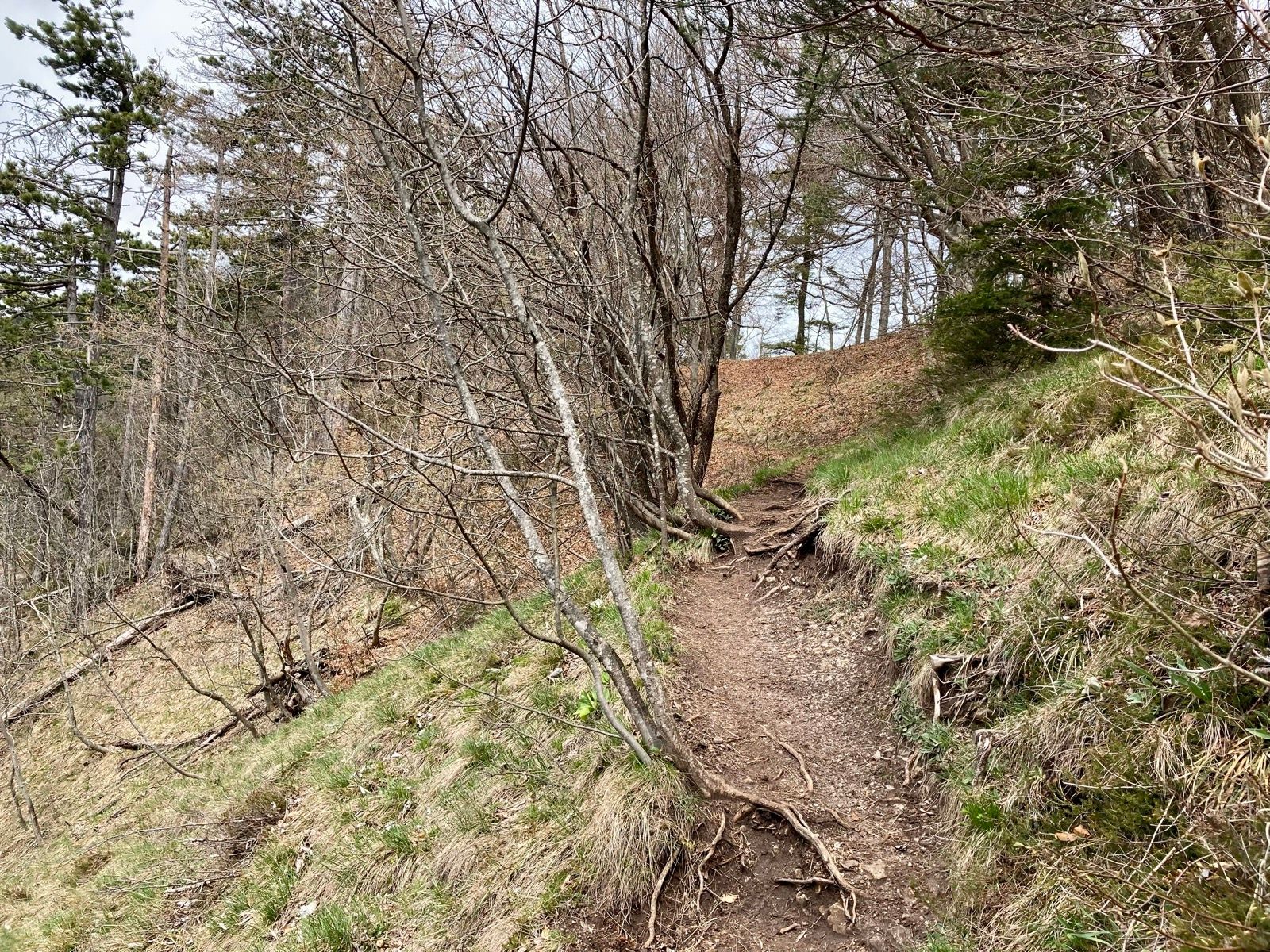 Activity Image 4