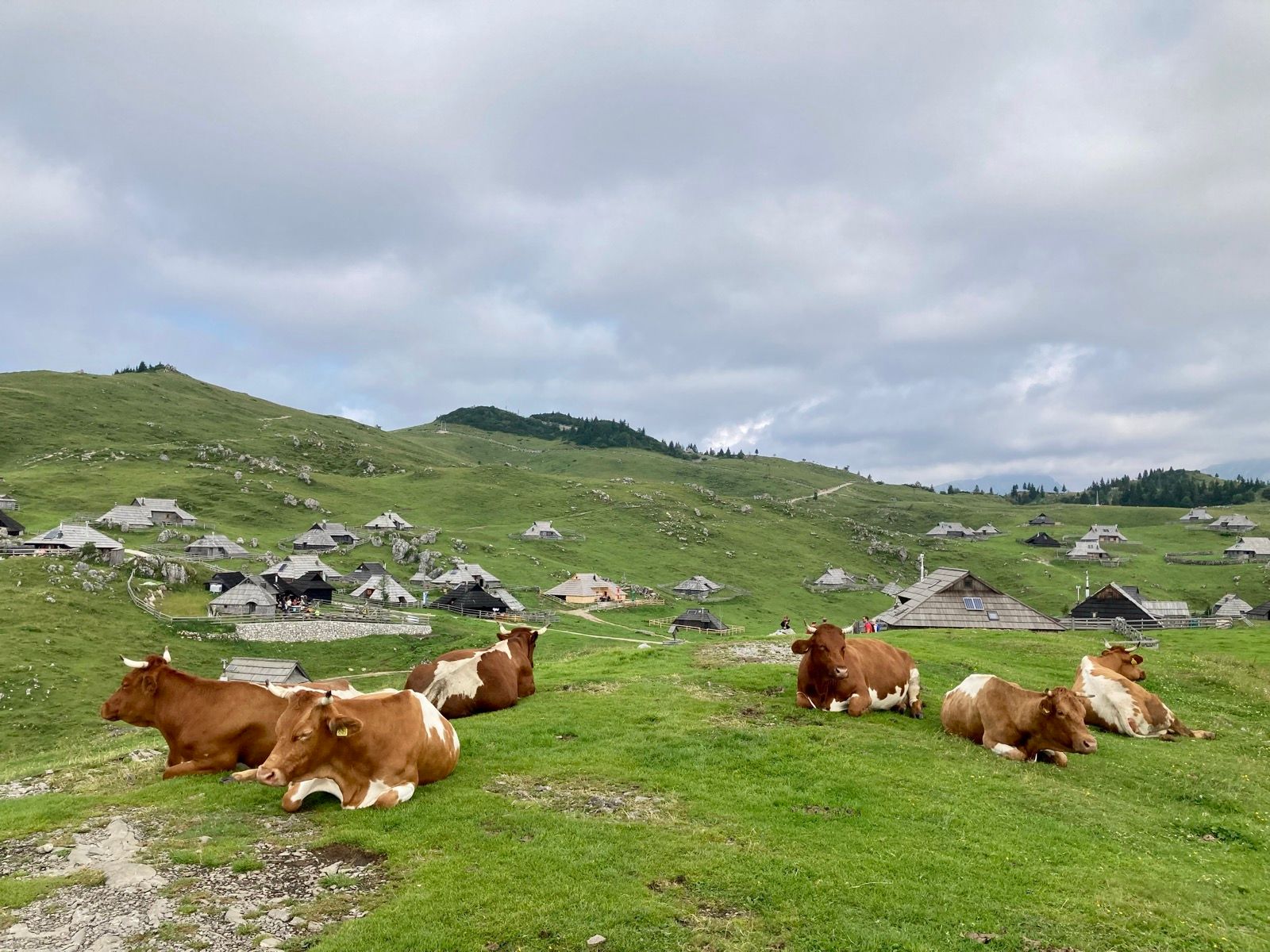 Activity Image 1