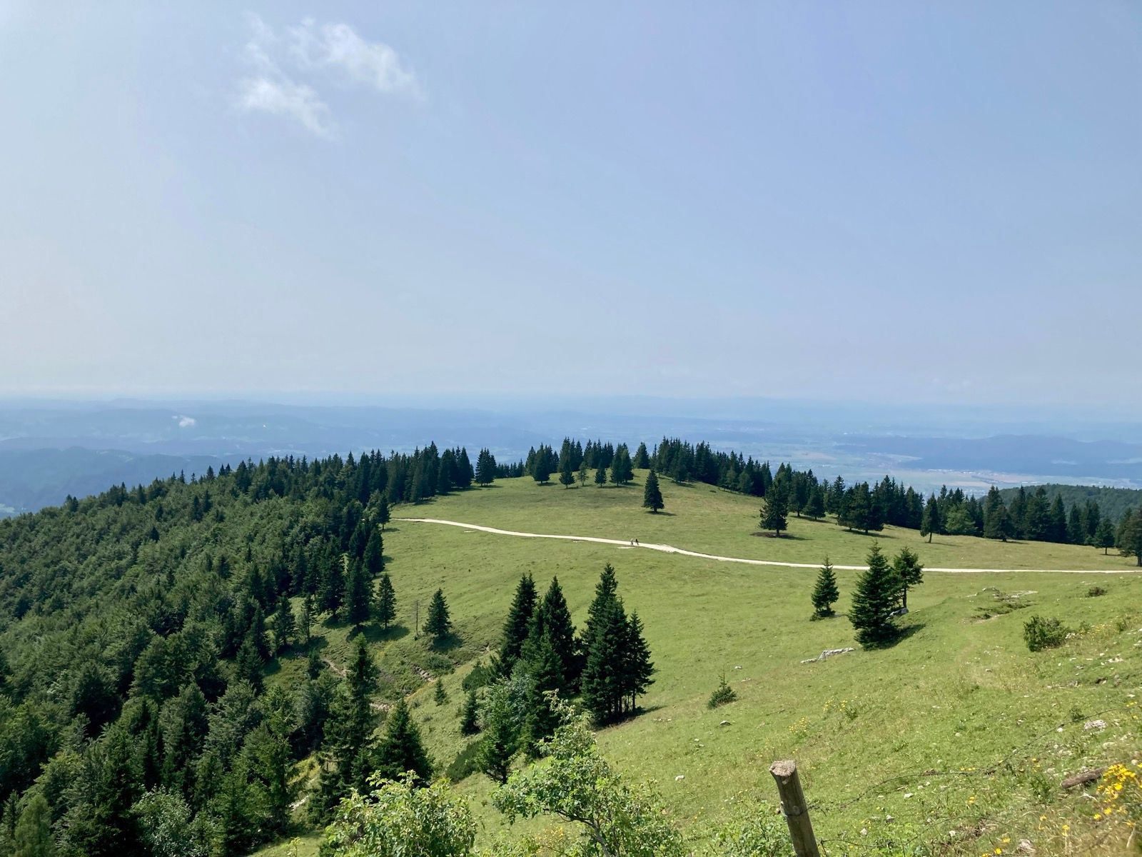 Activity Image 2