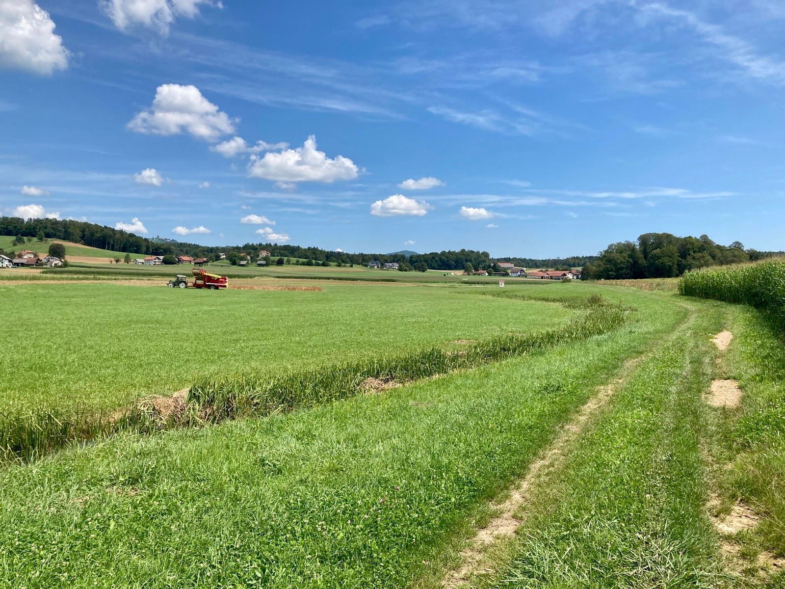 Activity Image 1