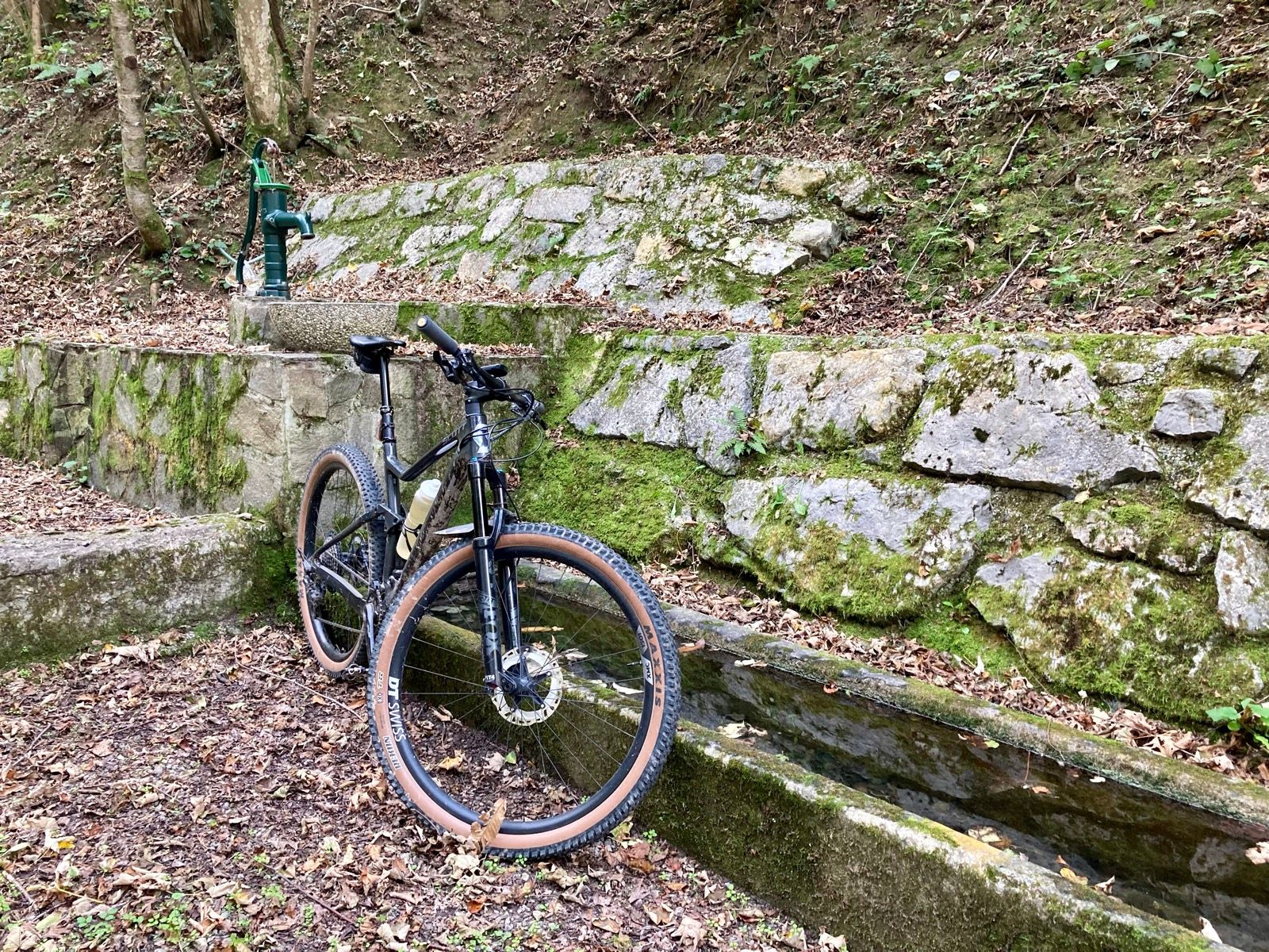 Ride Image 4