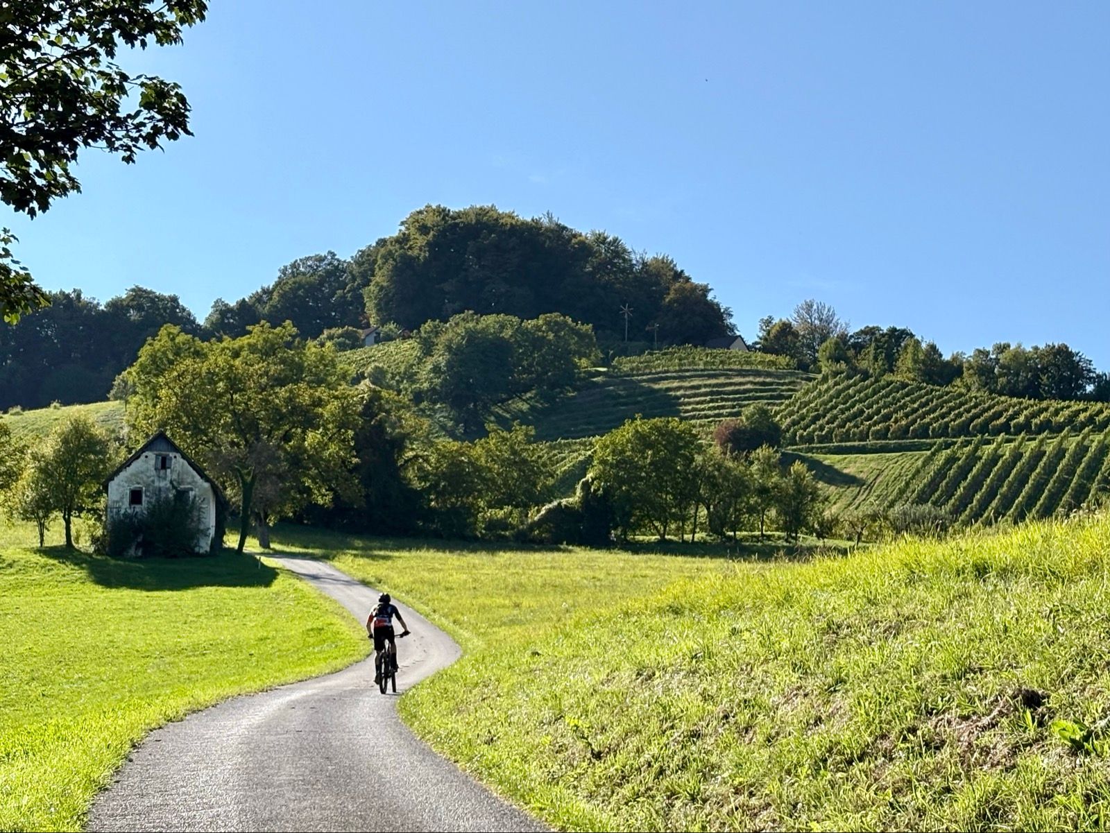 Ride Image 18