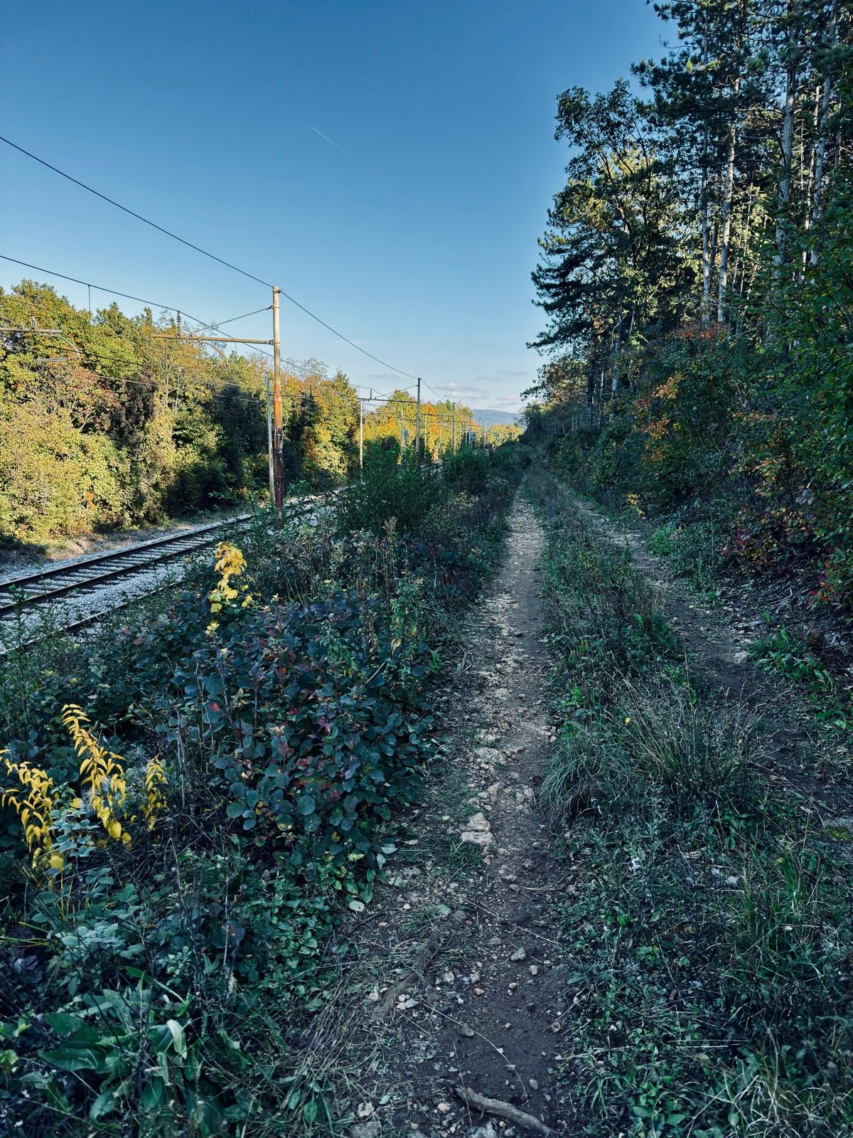 Activity Image 8