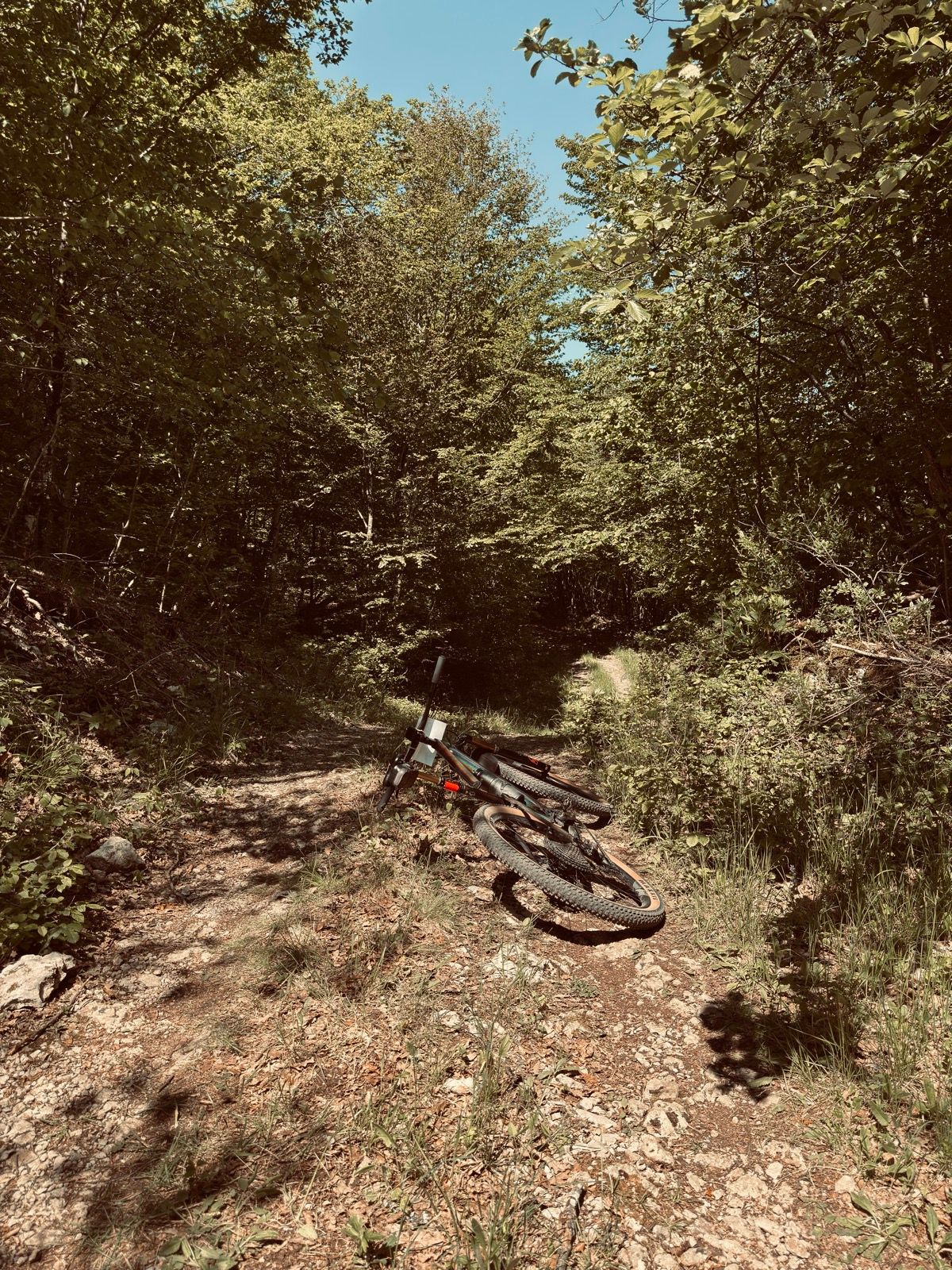 Activity Image 3