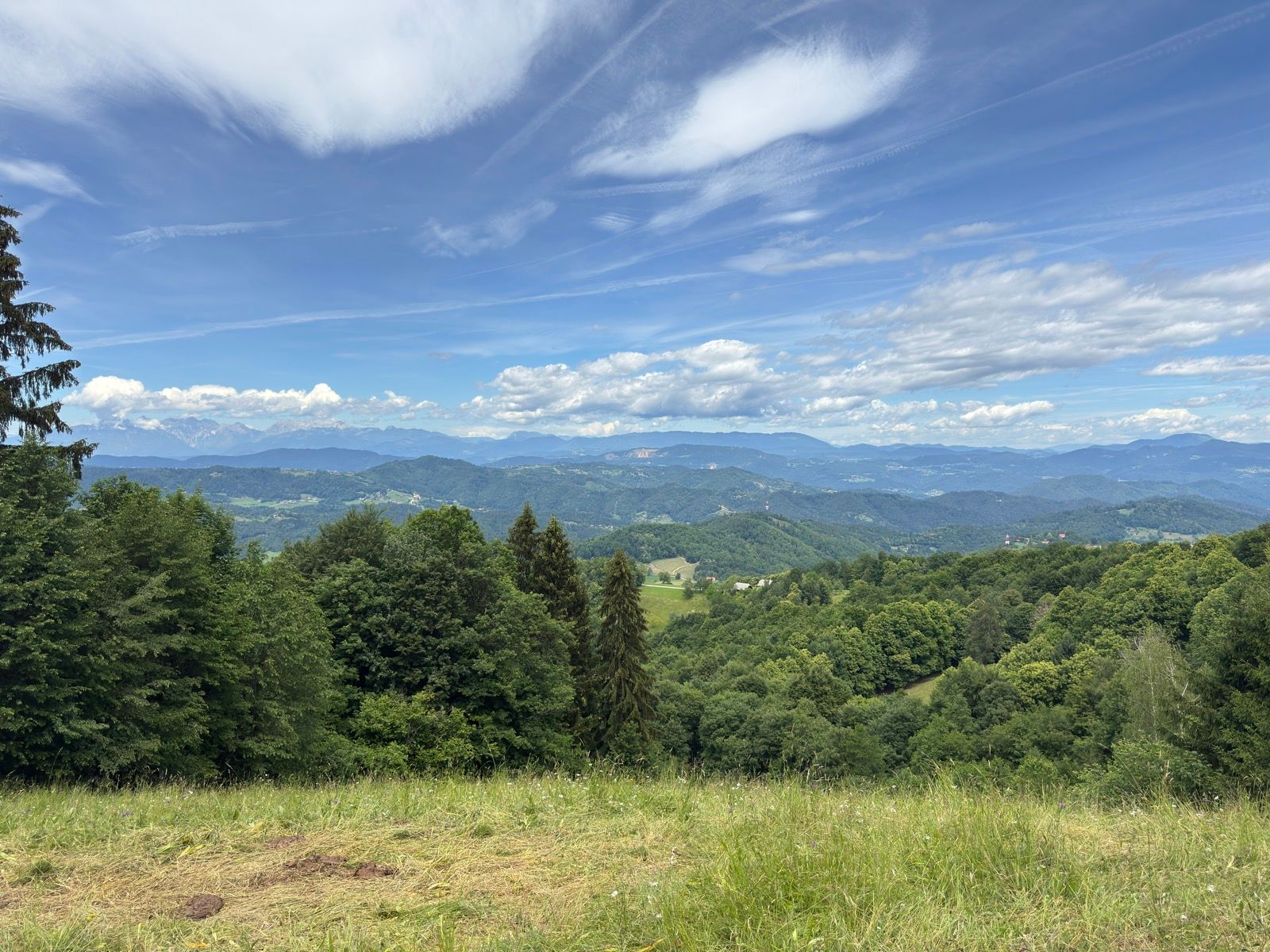 Activity Image 12