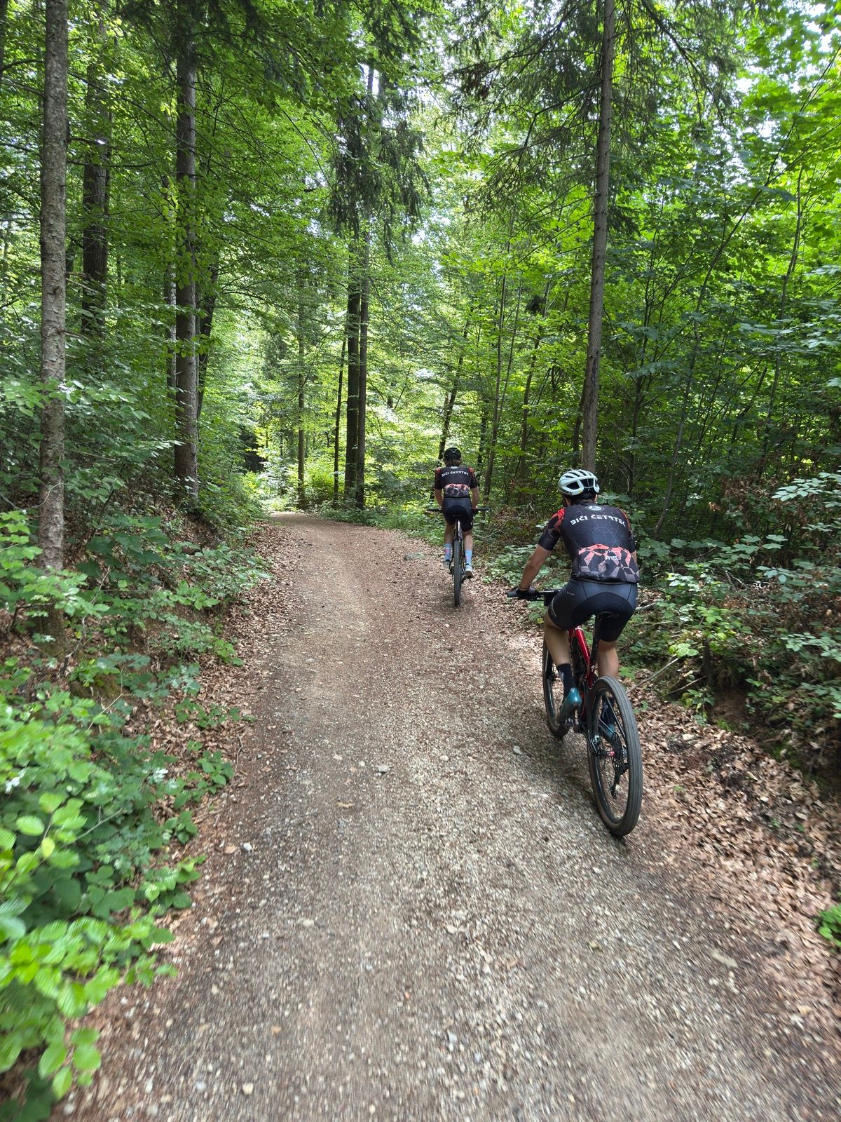 Activity Image 6