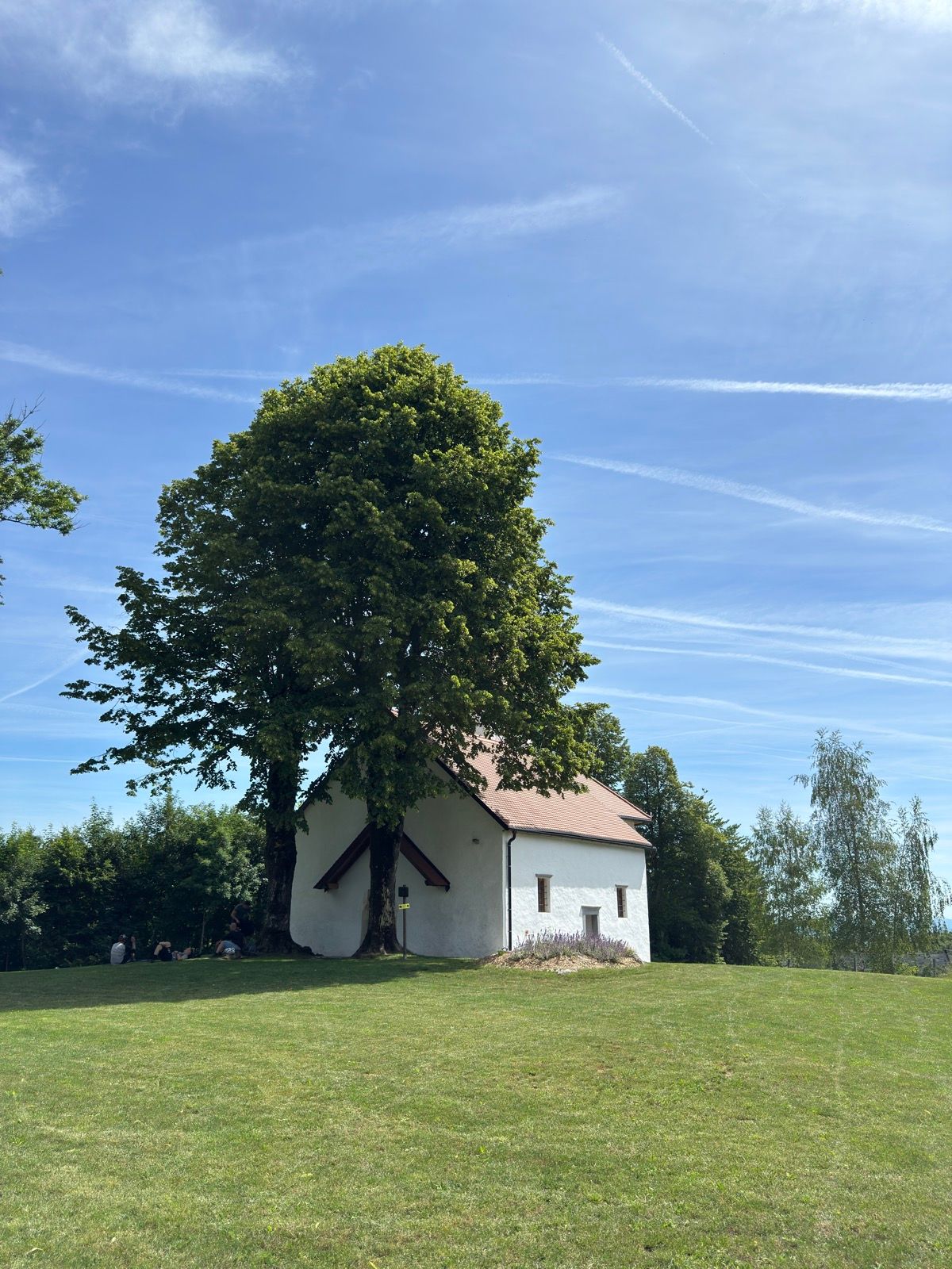 Activity Image 7
