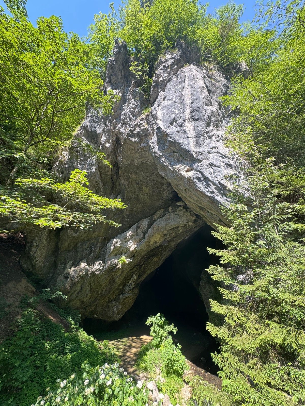 Activity Image 4