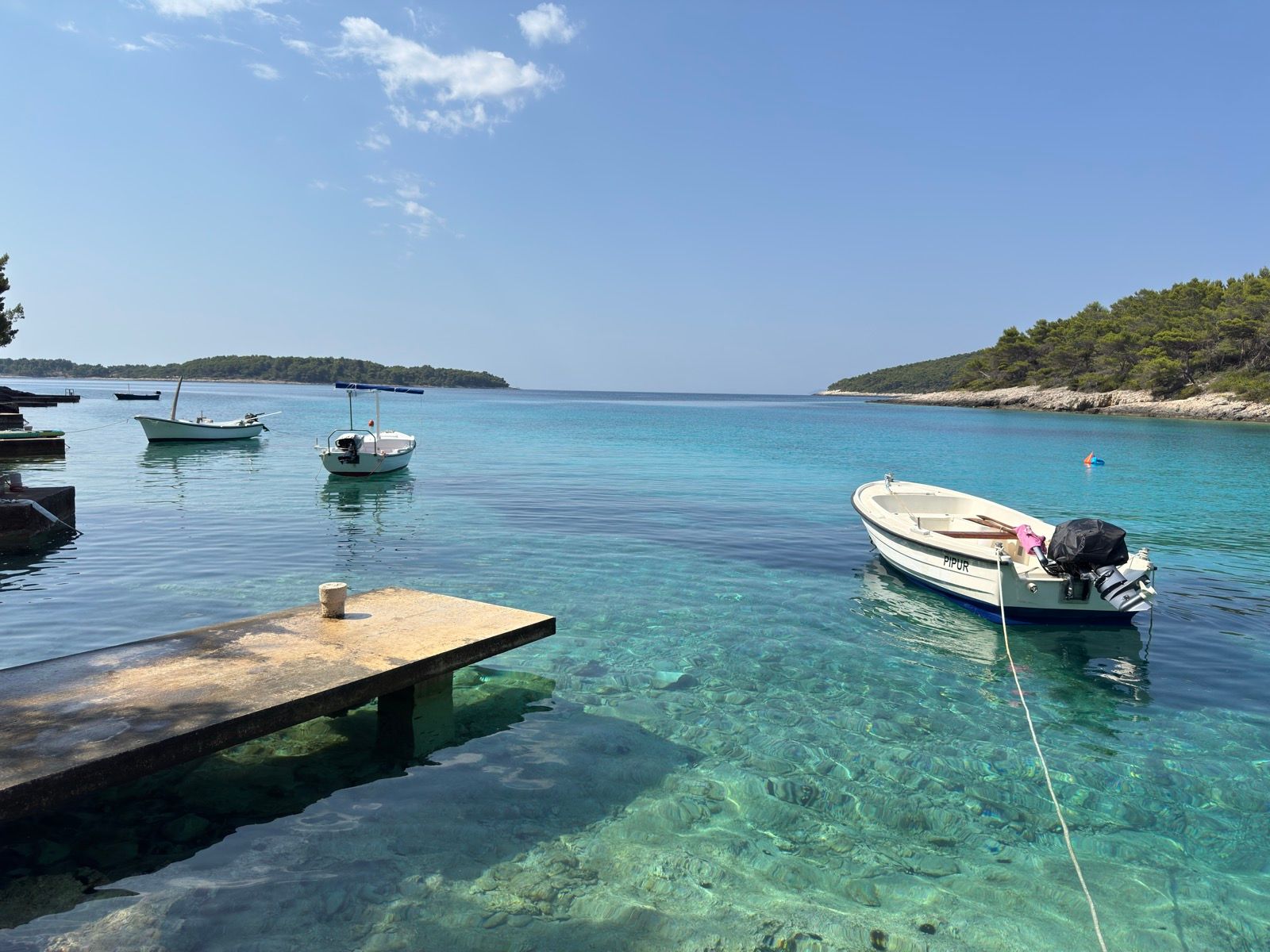 Activity Image 1
