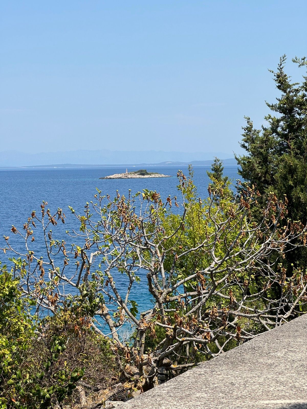 Activity Image 15