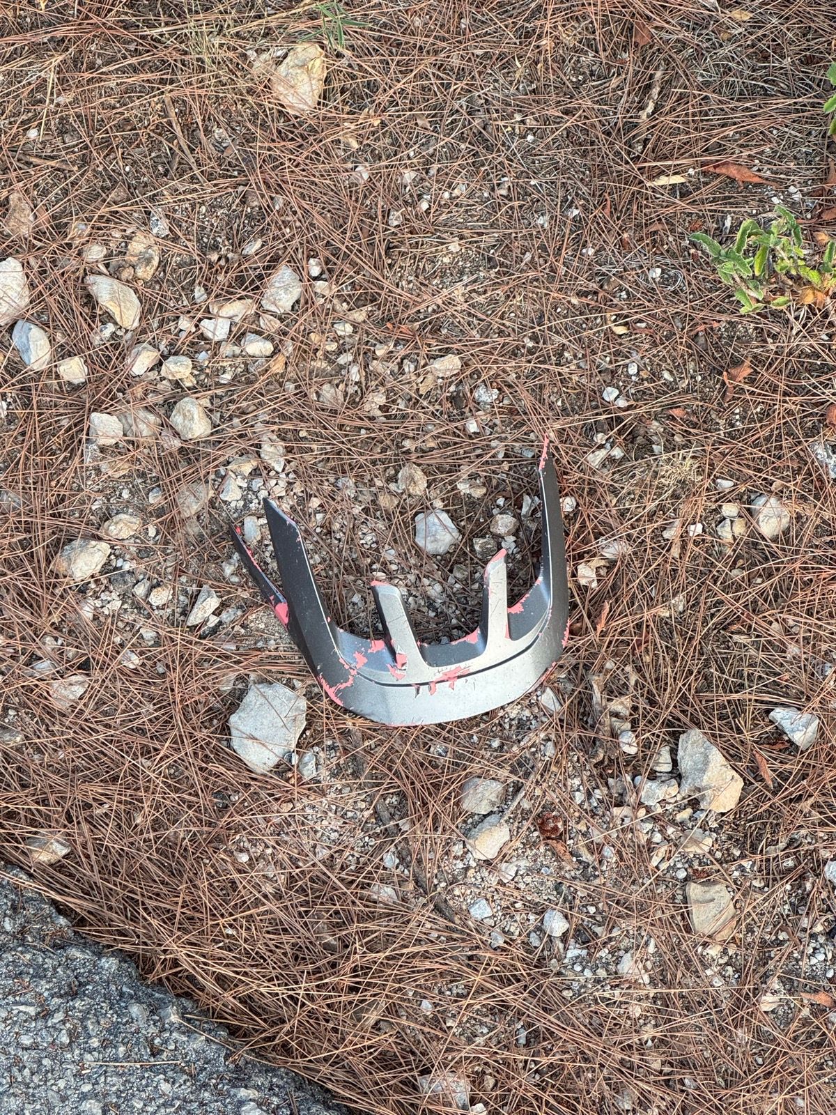 Activity Image 6