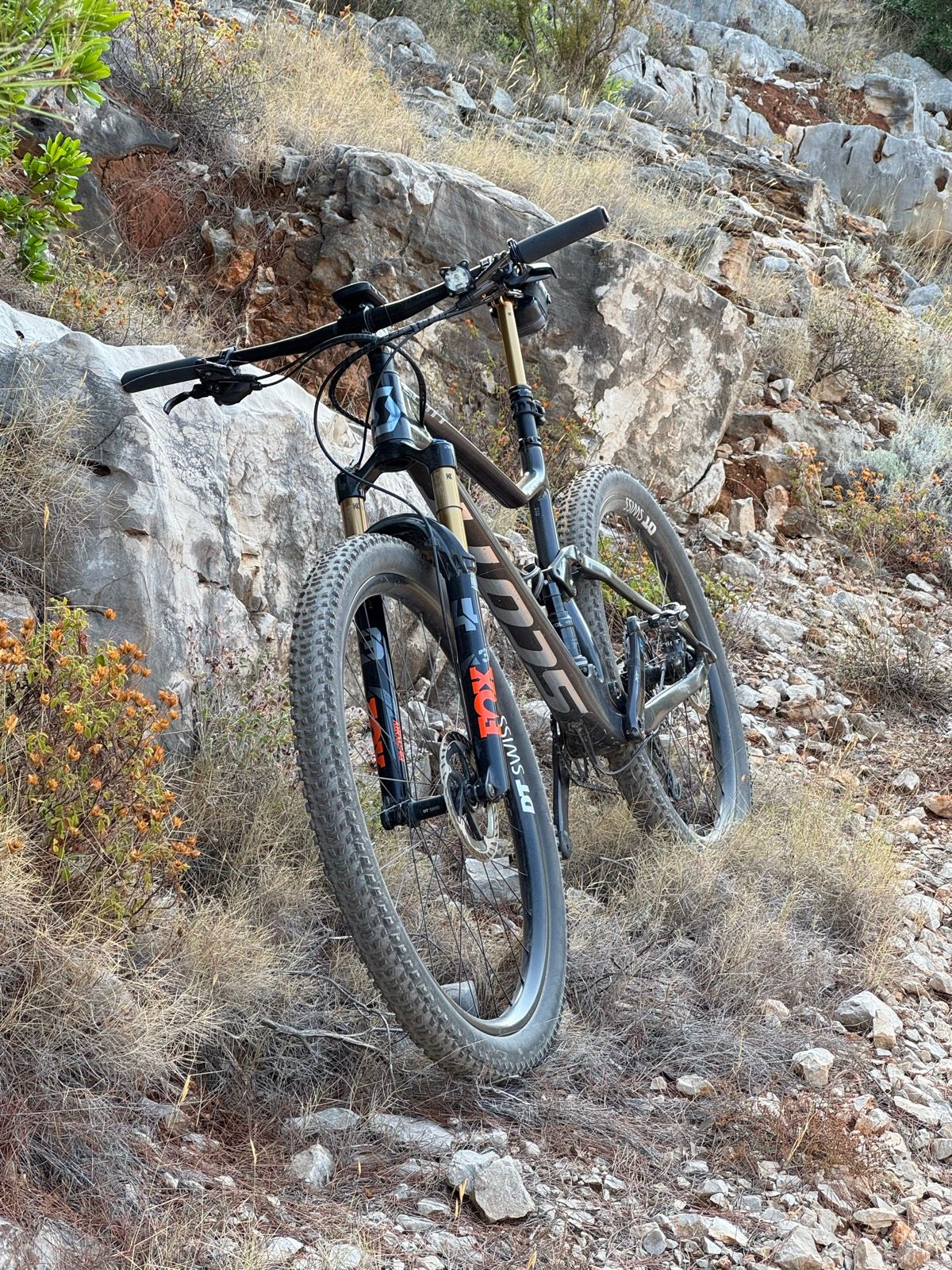 Activity Image 8