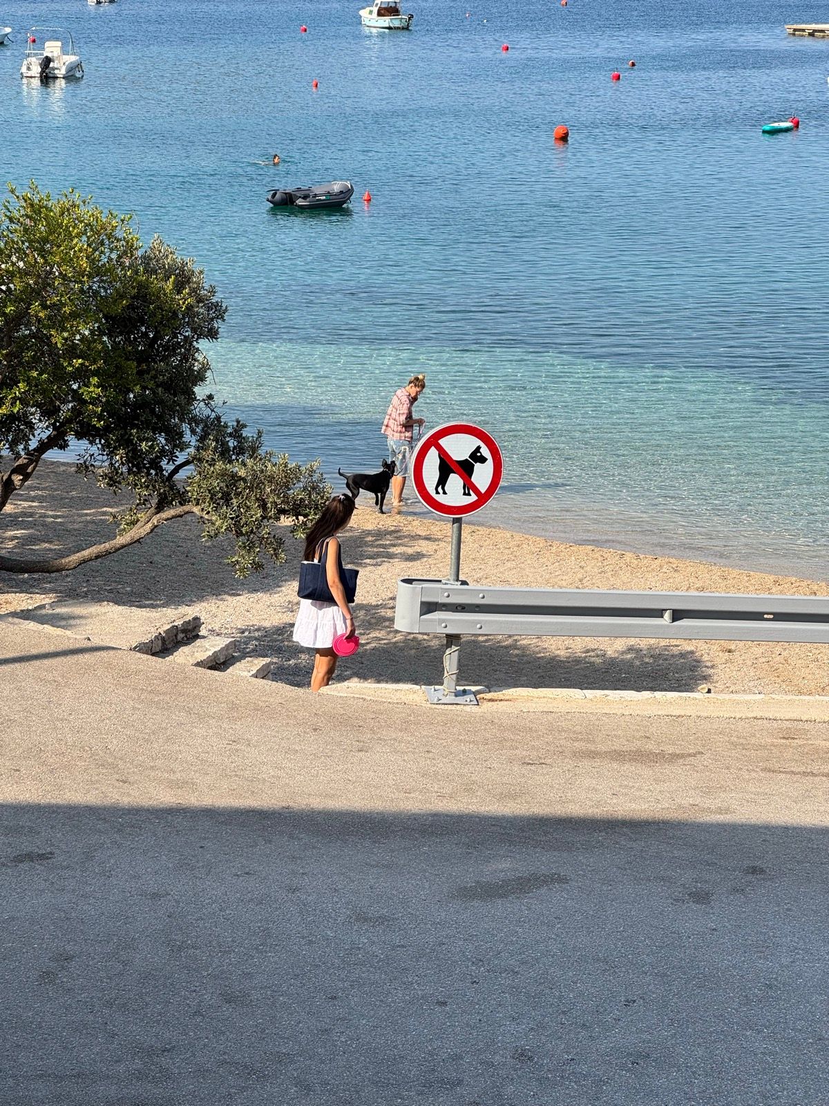 Activity Image 9