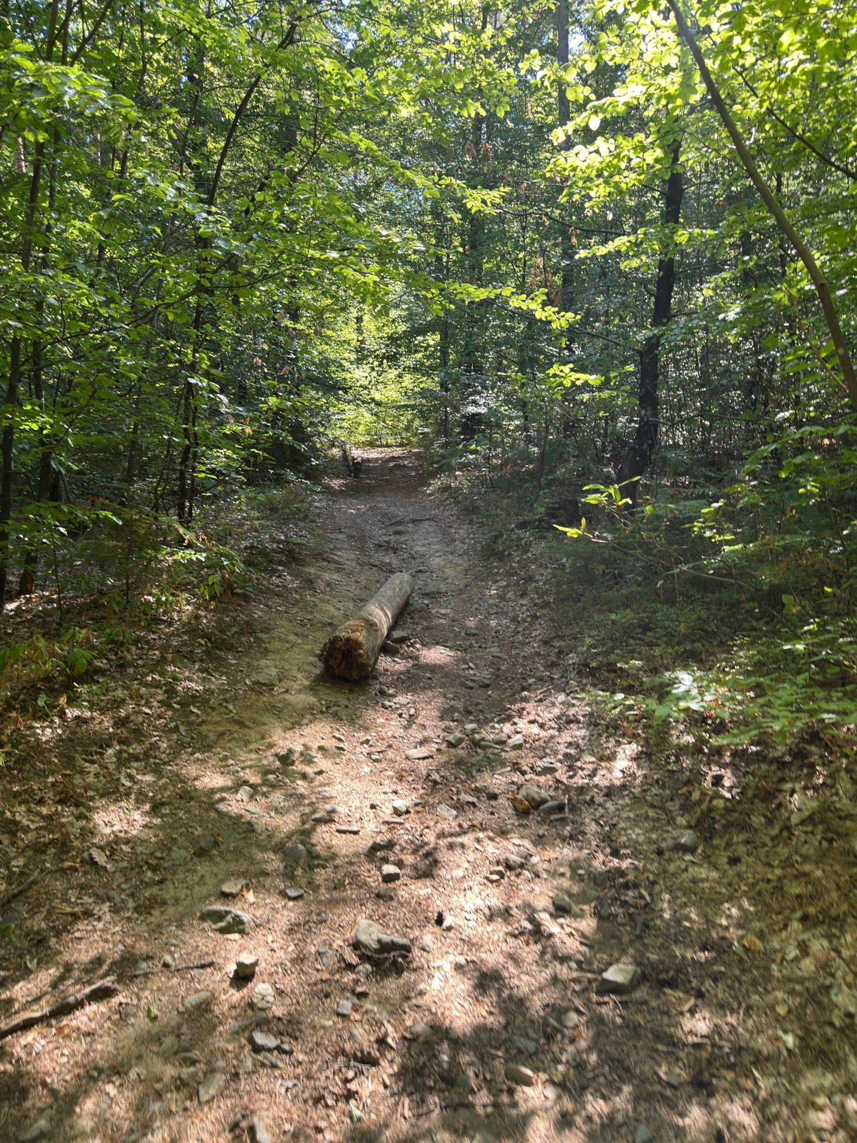 Activity Image 16