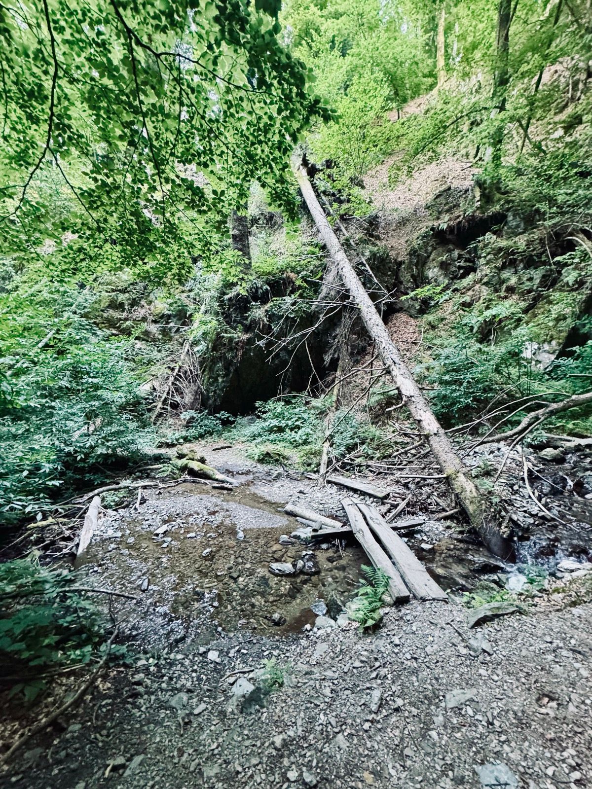 Activity Image 5