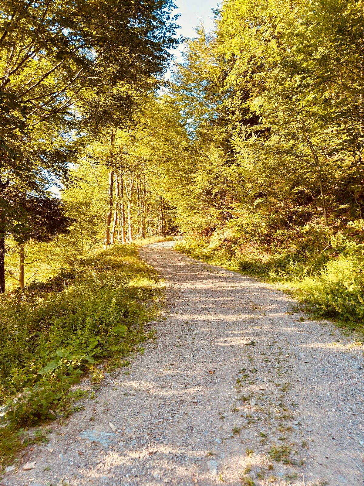 Activity Image 6