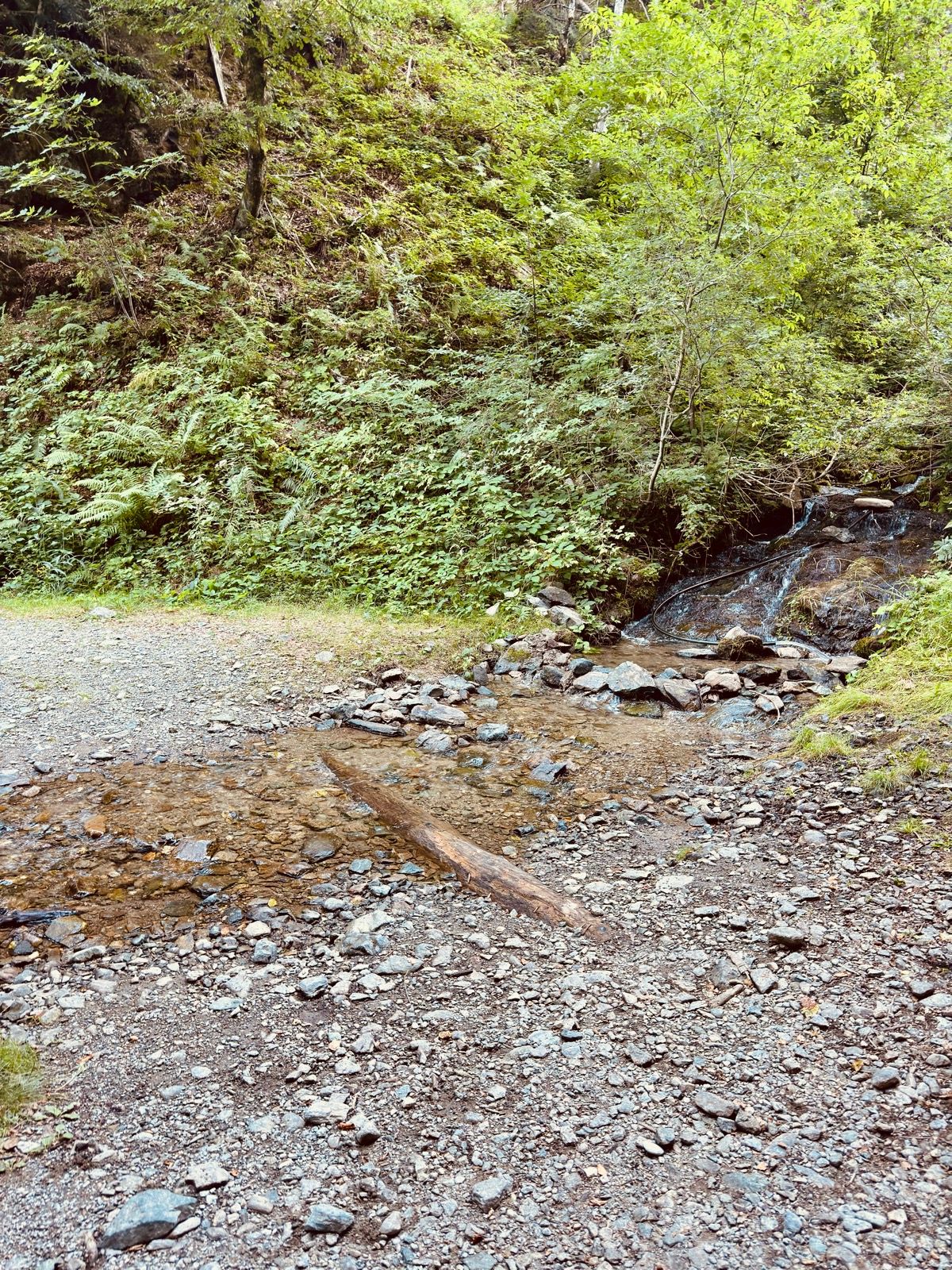 Activity Image 7