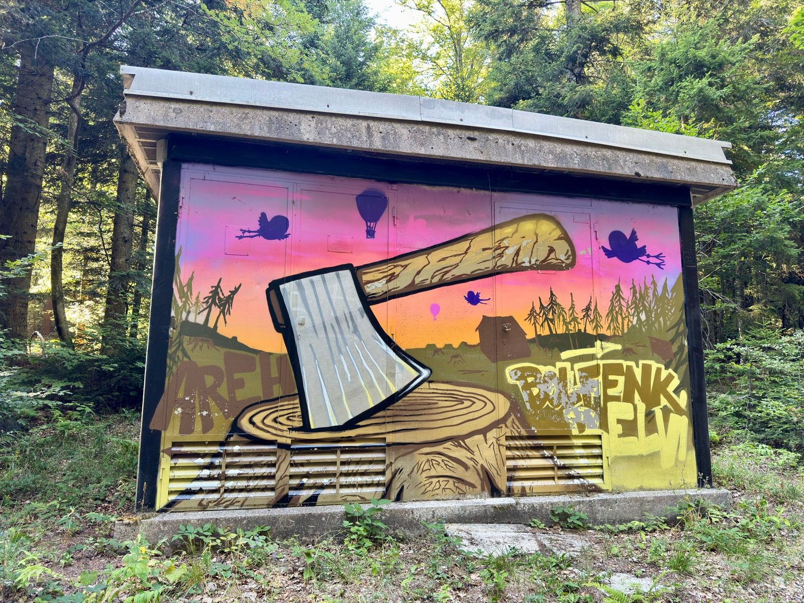 Activity Image 8