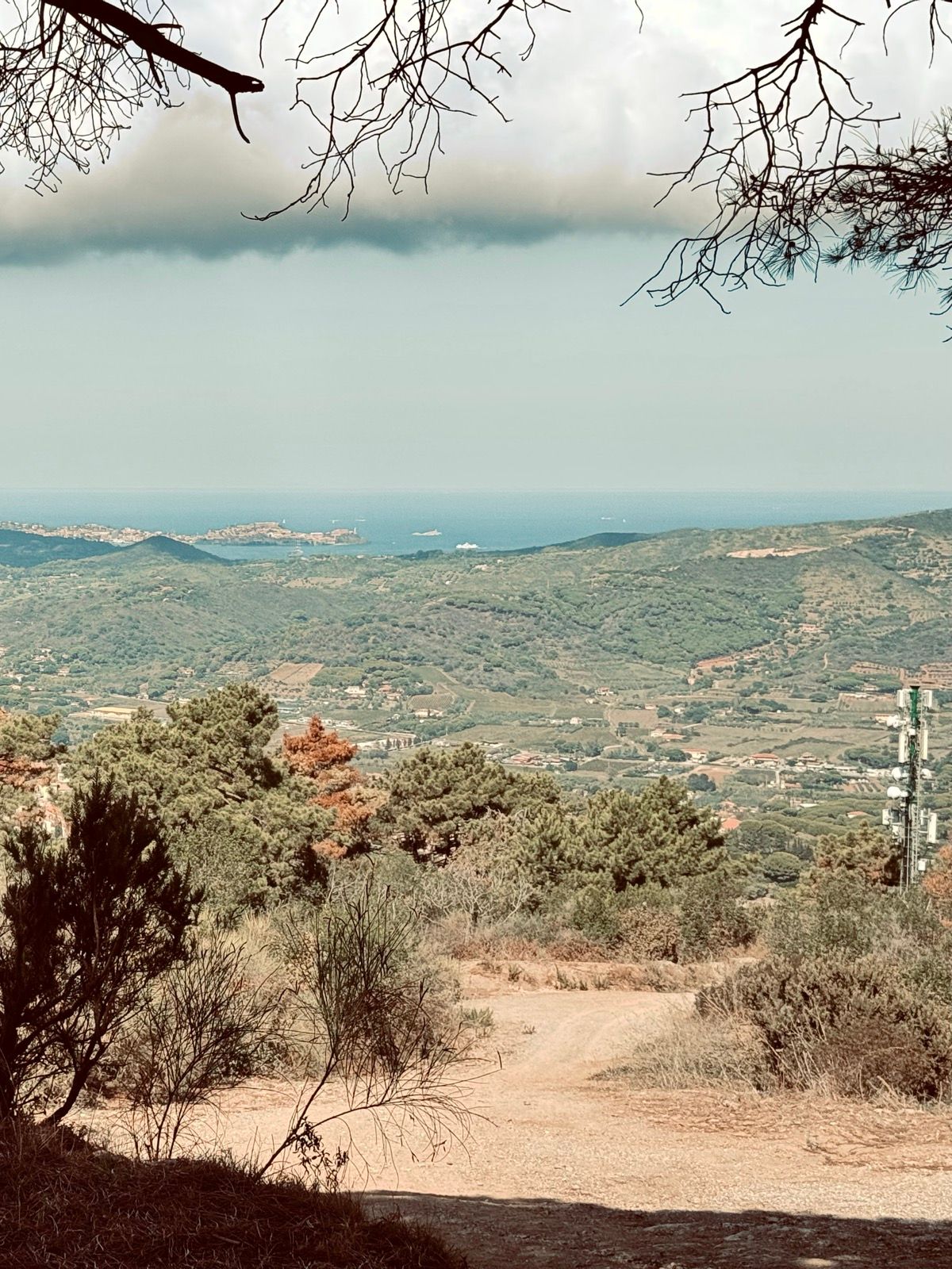 Activity Image 3