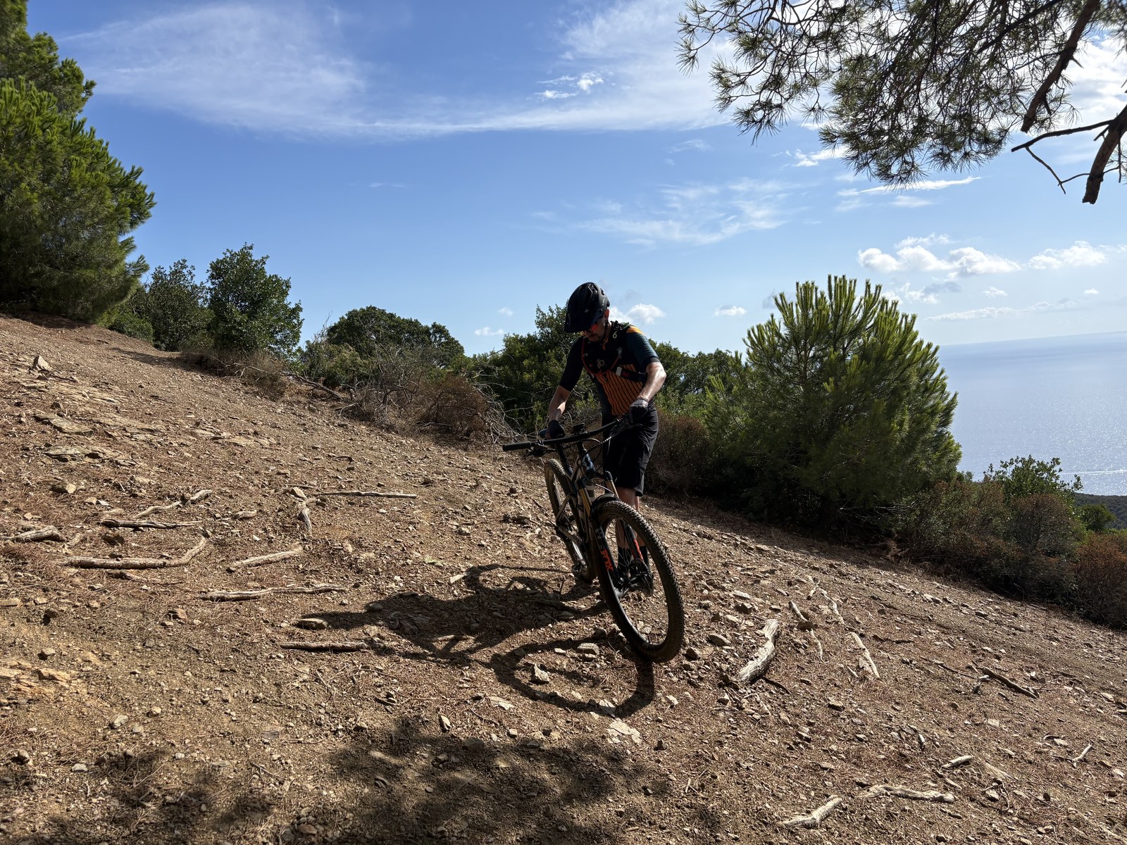 Activity Image 5