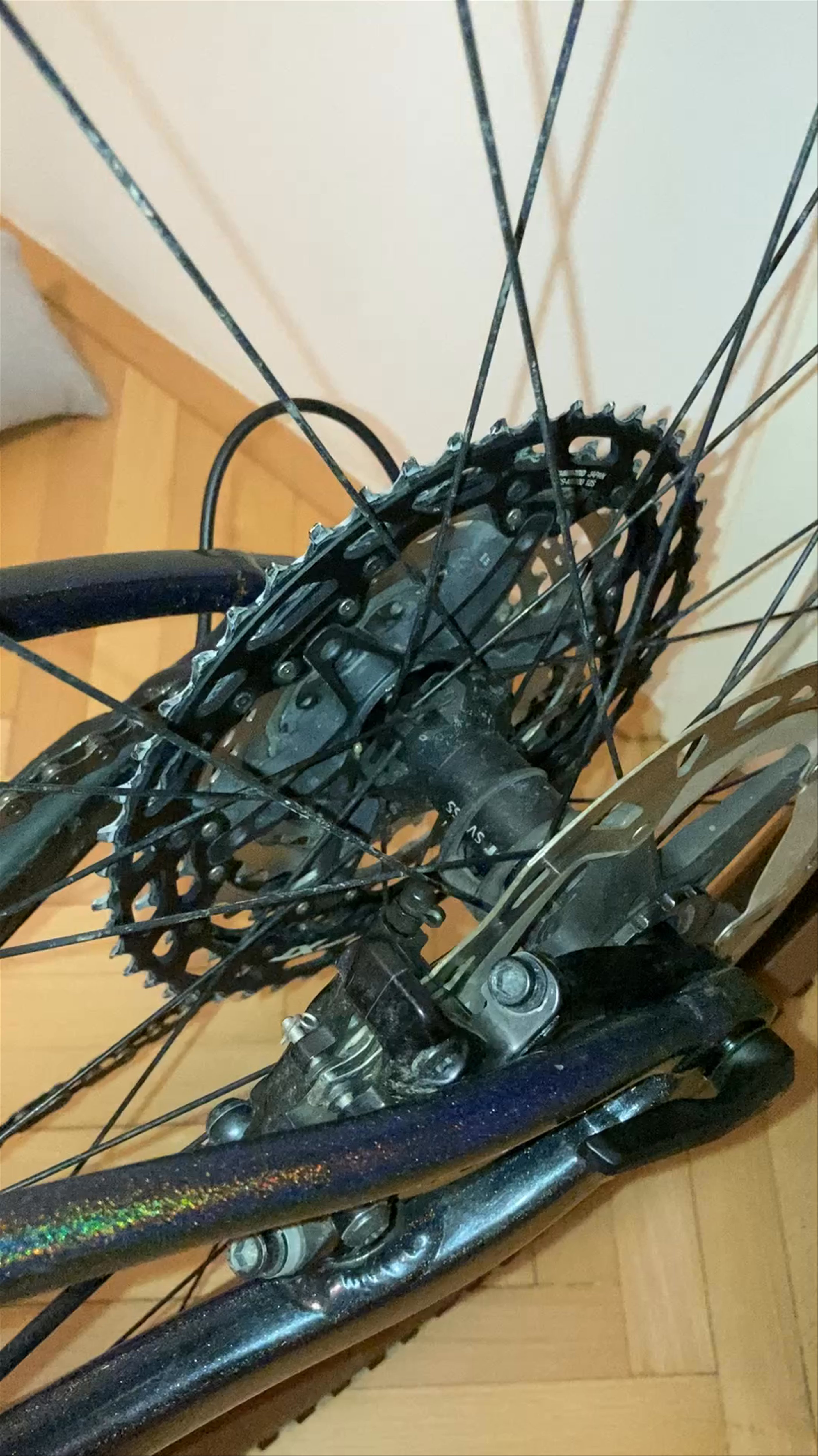 Ride Image 5