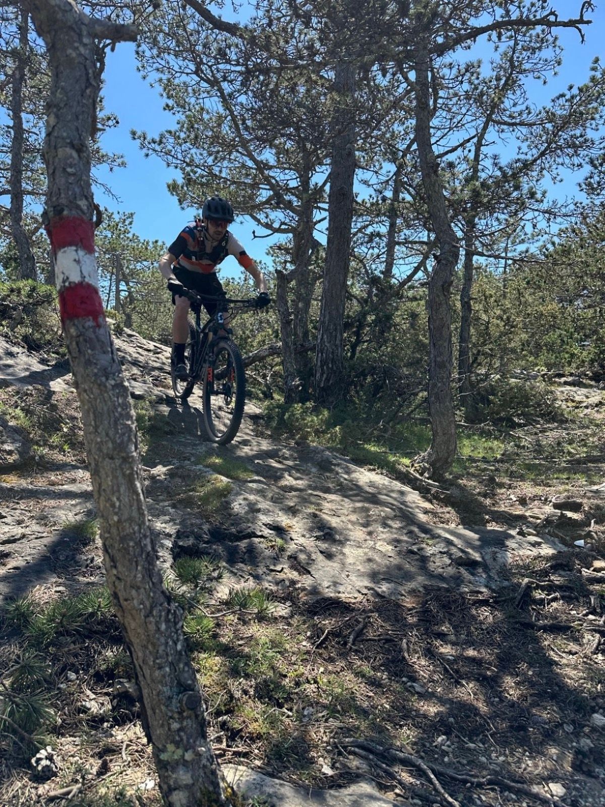 MTB
