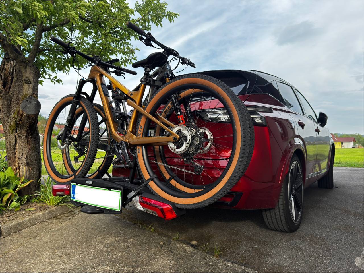 MTB