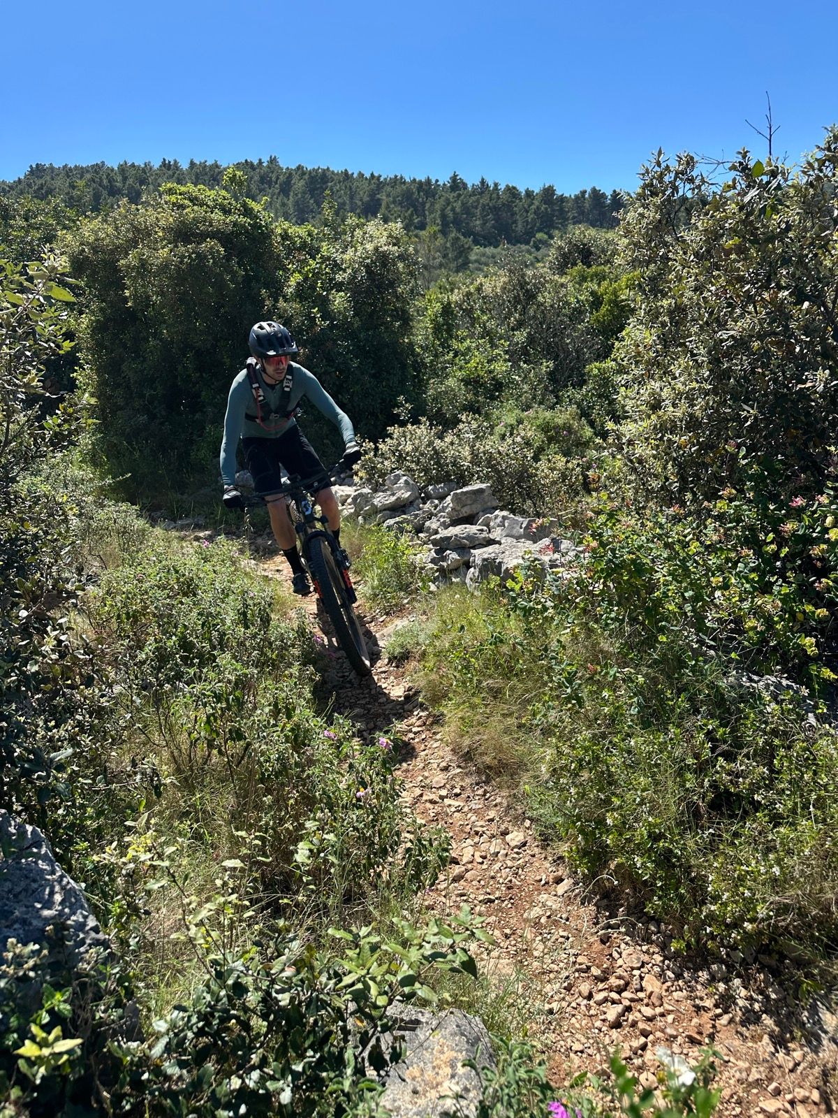 MTB